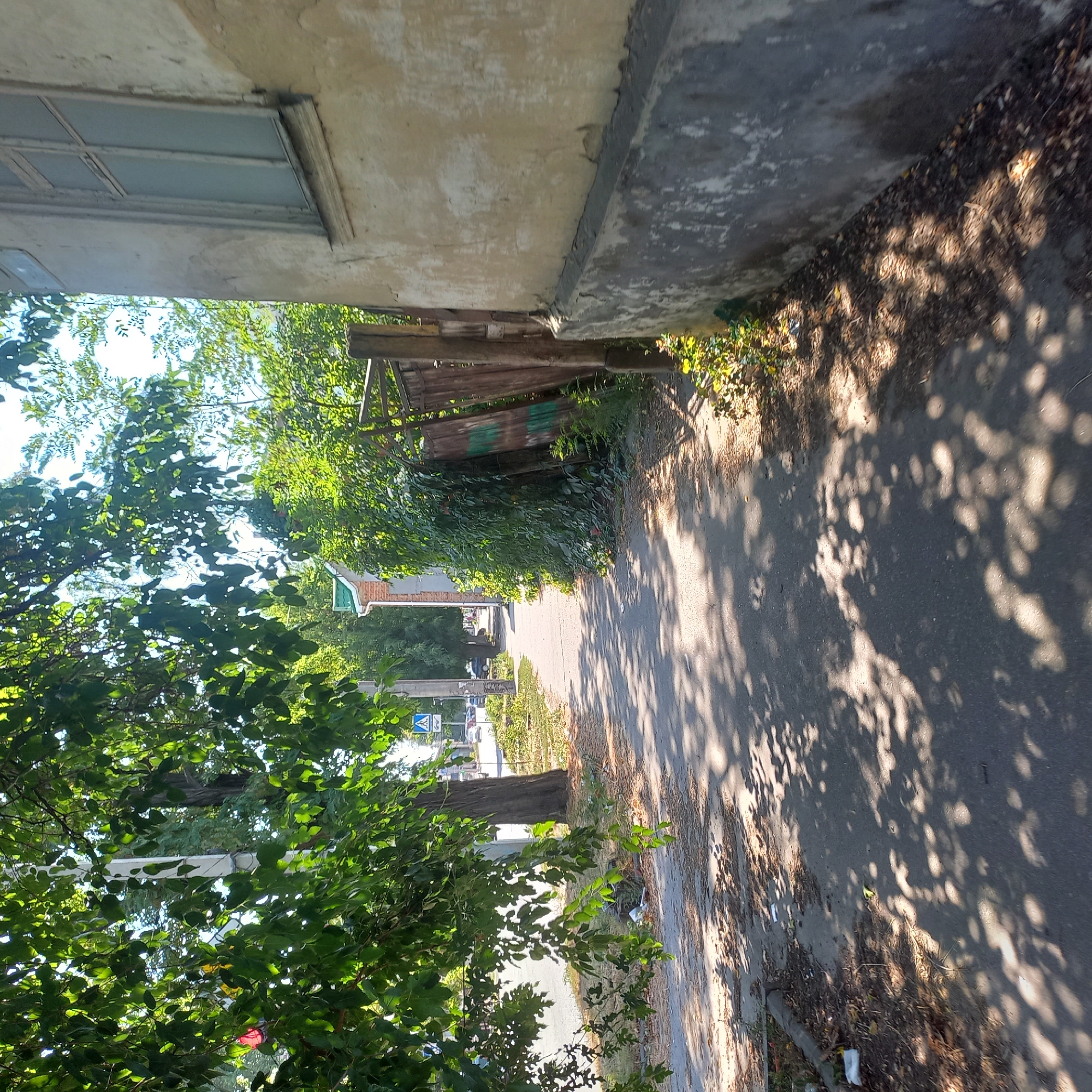 The image depicts a paved sidewalk on a sunny day, bordered by a street on the left and a weathered, pale-yellow building on the right. Lush green trees with dappled sunlight casting shadows on the sidewalk dominate the left and upper portions of the frame. A dark tree trunk is visible in the mid-ground on the left. Beyond the sidewalk, a street with several cars is visible, along with a pedestrian crossing sign. To the right of the sidewalk, a wooden fence, partially covered in ivy, stands adjacent to the building. The building's facade is textured and aged, with a visible window that has a grid pattern. Debris, including plastic waste, is scattered along the edge of the sidewalk and street. The overall scene suggests a residential or less-trafficked urban area.