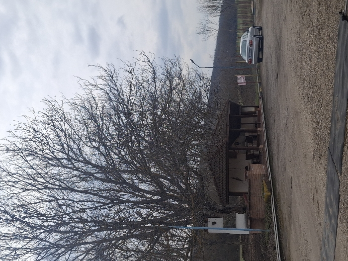 An outdoor scene in Peichinovo, Bulgaria, captured during daylight under an overcast sky, depicts a semi-rural environment. The foreground consists of an uneven, light brown gravel and dirt surface, with a dark, horizontal strip of material at the bottom. To the left, a large, bare deciduous tree with extensive branching occupies the majority of the frame's height. Beneath this tree, a small, open-sided pavilion-style structure with a dark, gabled tile roof and a brick base is visible. Dark furniture, including chairs and a table, is discernible within the pavilion. Immediately to the left of the pavilion stands a distinct white and blue concrete structure, possibly a small shrine or monument, topped with a narrow, chimney-like element. A blue street lamp pole is partially visible near the base of the large tree. In the midground, to the right of the pavilion, a silver four-door sedan is parked on the gravel, facing away from the viewer, with its rear visible. Another street lamp with a dark pole stands behind the parked vehicle. A small red and white sign on a pole is situated between the pavilion and the car. The background features dormant trees and brush, beyond which a low, gently sloping hill with sparse vegetation extends across the horizon. No individuals or active interactions are present in the image.