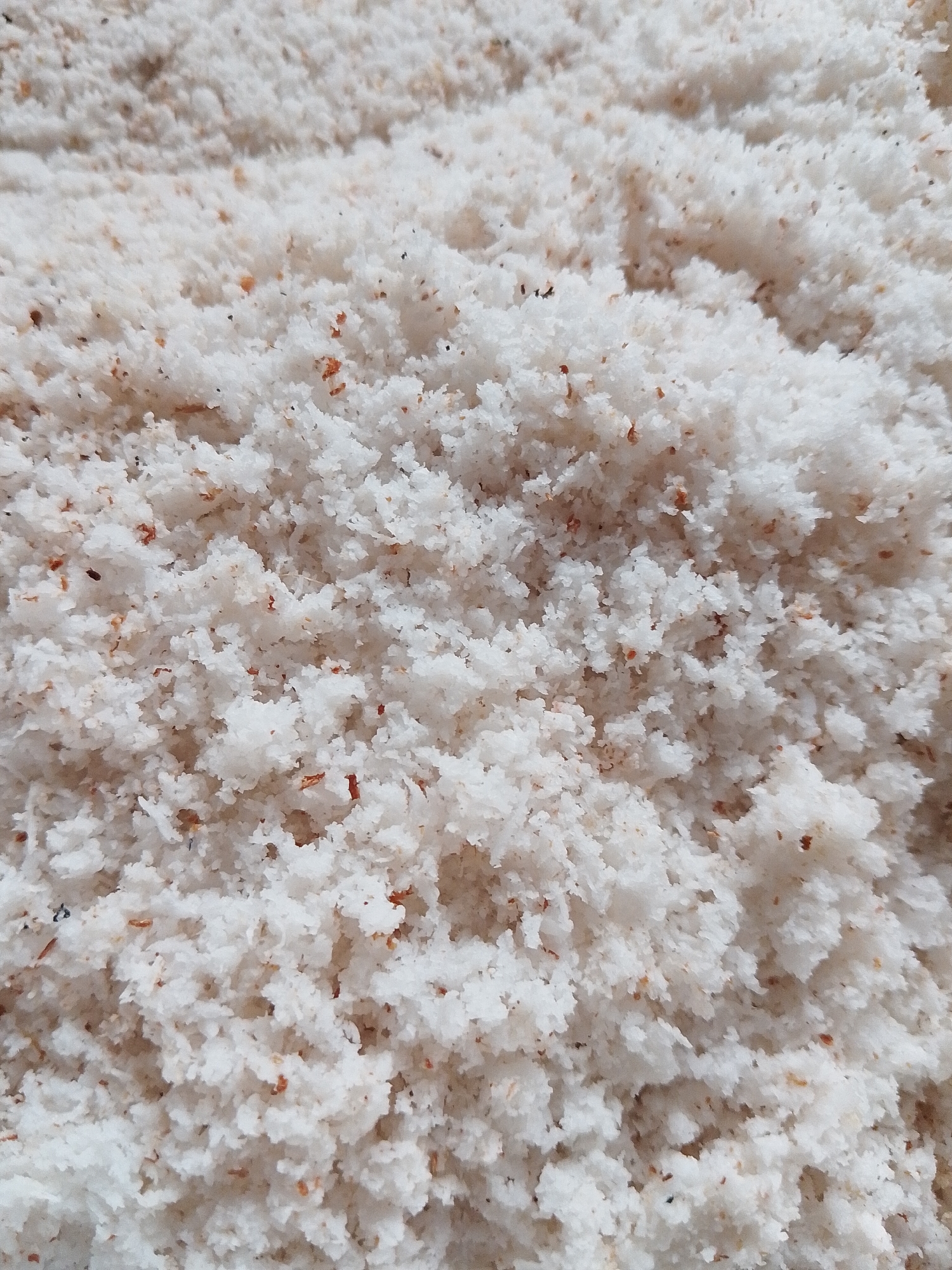 The image shows a close-up, overhead view of a pile of shredded coconut. The coconut is finely shredded and appears dry, with a white to off-white color. There are small specks of brown or reddish-brown mixed within the white shreds, likely bits of coconut skin or other natural inclusions. The texture is fluffy and granular. The lighting suggests an indoor or shaded outdoor environment, with soft shadows indicating the depth and unevenness of the pile. There are no people, animals, or discernible structures visible, making it impossible to determine a specific location within Lhokseumawe, Indonesia. The scene is a still, textural close-up of a food ingredient.
