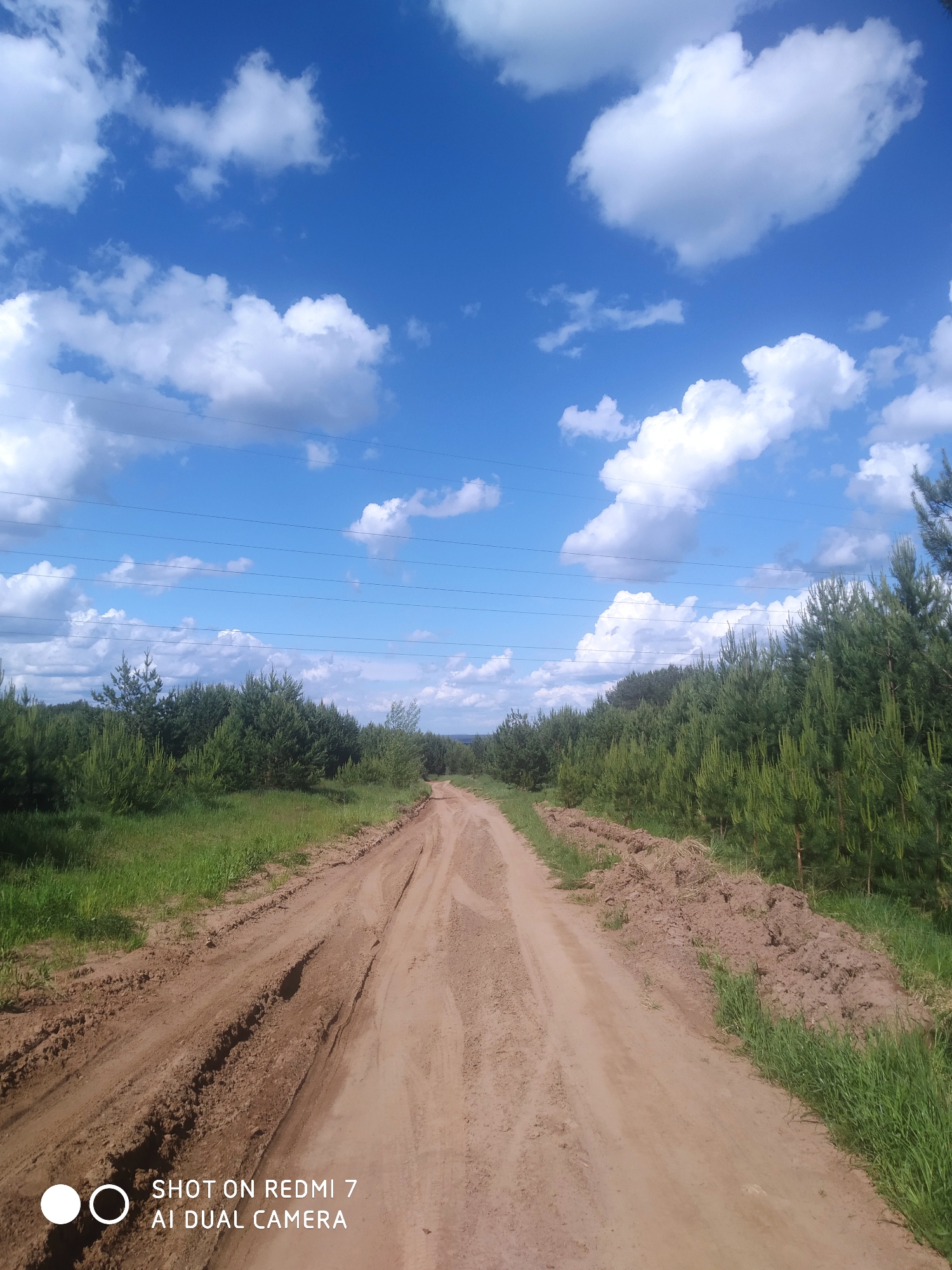 A dirt road stretches into the distance, flanked by rows of young pine trees and green grass. The sky is blue with scattered white clouds. Power lines are visible in the sky above the trees. A "SHOT ON REDMI 7 AI DUAL CAMERA" watermark is present in the lower left corner. The location is implied to be in the city of Chaikovsky, Russia. No people or animals are visible in the image.