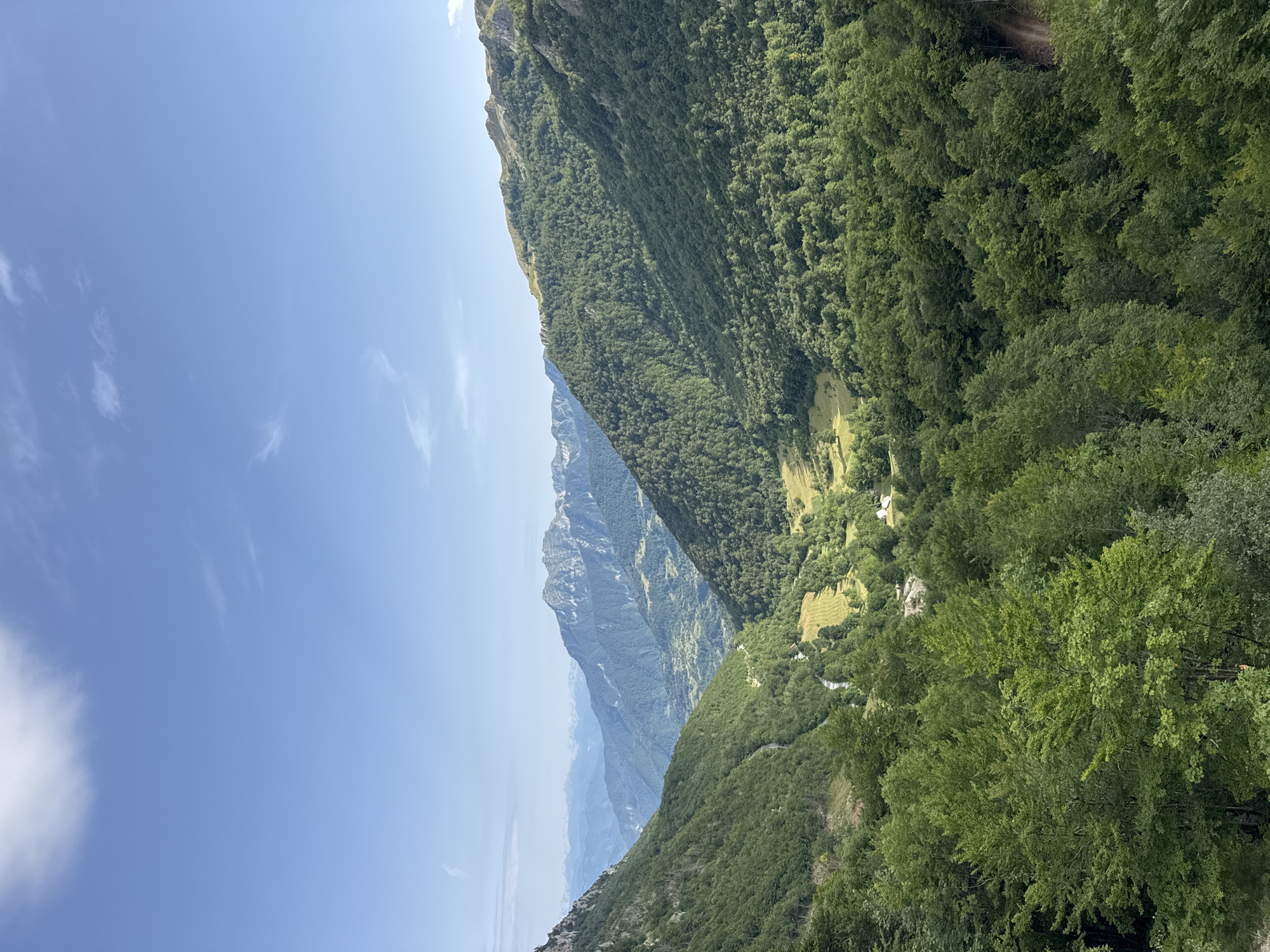 The image depicts a vast, verdant mountain valley under a clear blue sky with scattered wispy clouds. The foreground is dominated by dense green trees, with the foliage creating a thick canopy. As the eye moves deeper into the scene, the valley opens up, revealing rolling hills covered in lush forests. A winding road is visible, snaking its way through the valley floor, which is dotted with patches of yellowing fields. In the distance, majestic, rugged mountains rise, layered in varying shades of blue and grey, indicating their immense scale and distance. The overall impression is one of natural, unspoiled wilderness, characteristic of a mountainous region. The scene is likely located in the vicinity of Љевишта, Montenegro, given the typical landscape of the region.