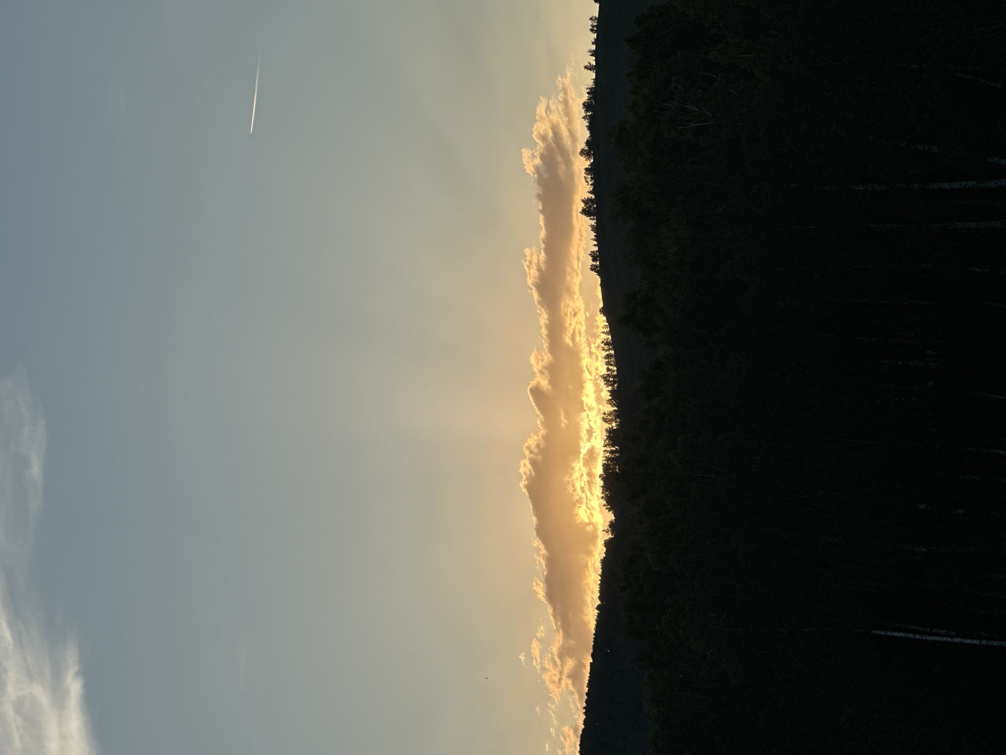 The image depicts a serene natural landscape at dusk. The foreground is dominated by a dense, dark silhouette of a forest, with tall trees casting long shadows. Above the treeline, a band of clouds is illuminated by the setting sun, casting a warm, orange glow. Rays of light emanate from behind these clouds, stretching upwards into the sky. The sky itself transitions from a soft yellow near the horizon to a pale blue at the top. A faint contrail from an airplane is visible in the upper right quadrant of the sky. The overall scene conveys a sense of tranquility and the fading light of day. The location is not specified within the city of Unknown, Unknown.