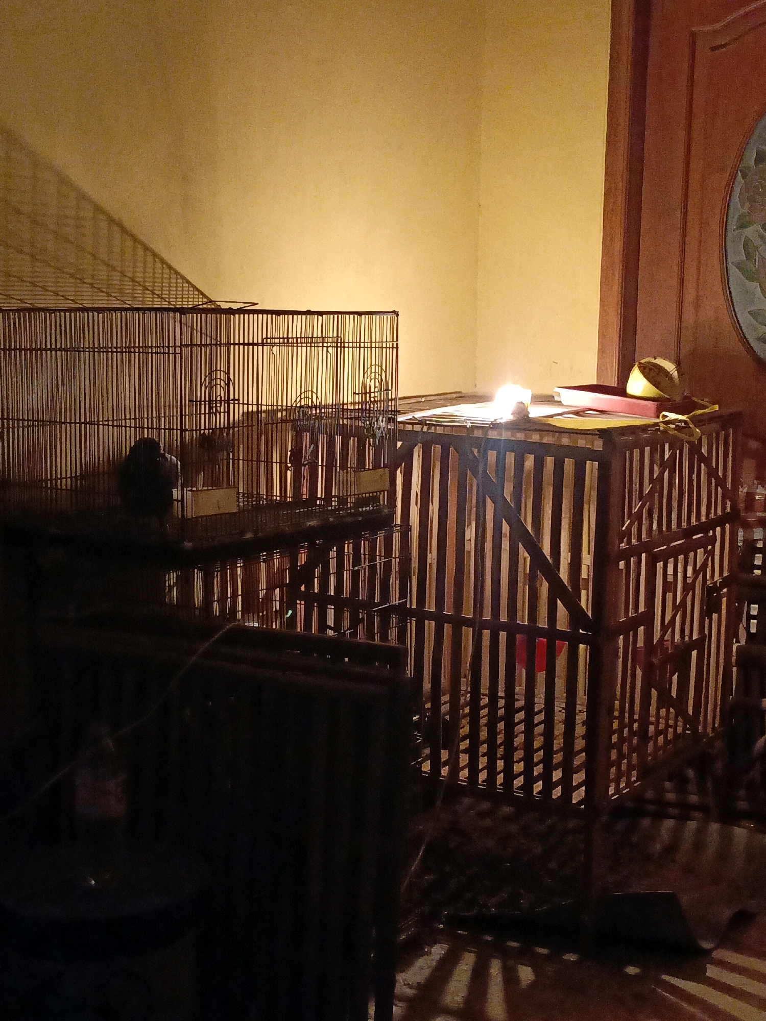 In Betek, Indonesia, a dimly lit room contains several cages. The primary focus is on a wooden cage to the right, illuminated by a bright light source on its top. A yellow bowl and a red tray are positioned on top of this cage. To the left, a larger wire cage is visible, also containing at least one bird. The walls of the room are a warm, yellow hue, and shadows cast by the cages and other unseen objects create a patterned effect on the floor and walls. The overall atmosphere is subdued, suggesting an indoor setting, possibly a residence or a place where birds are kept.