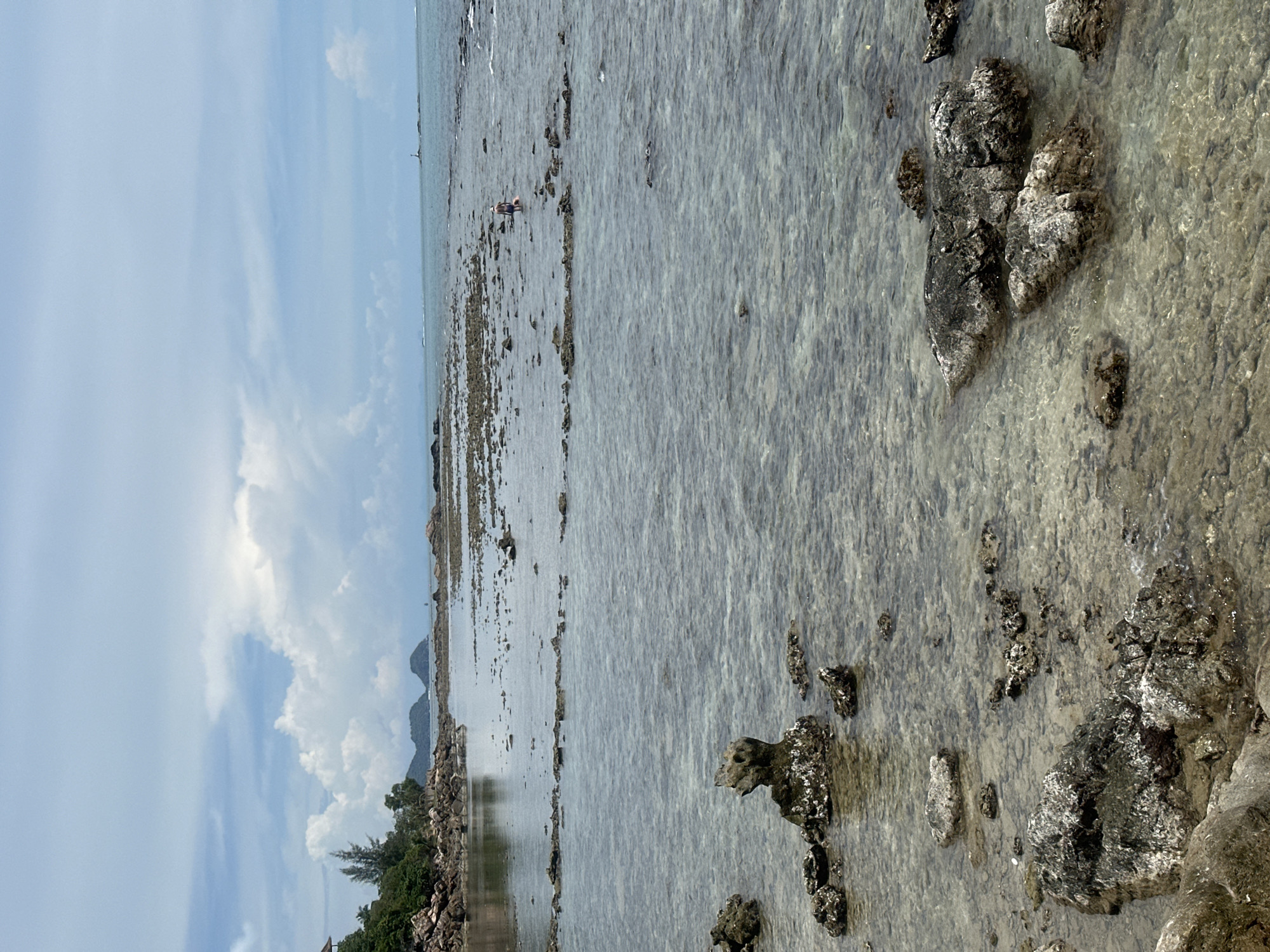 The image depicts a shallow, rocky coastline with clear water in ตำบลเกาะพะงัน, Thailand. In the mid-ground, a person wearing a hat and shorts is wading in the water, holding a pink object. The seabed is visible through the water, covered with rocks and some submerged structures. The foreground features larger, exposed rocks with barnacles. The background shows a vegetated shoreline with trees and a building on a small hill, leading to islands in the distance. The sky is partly cloudy with a calm sea.