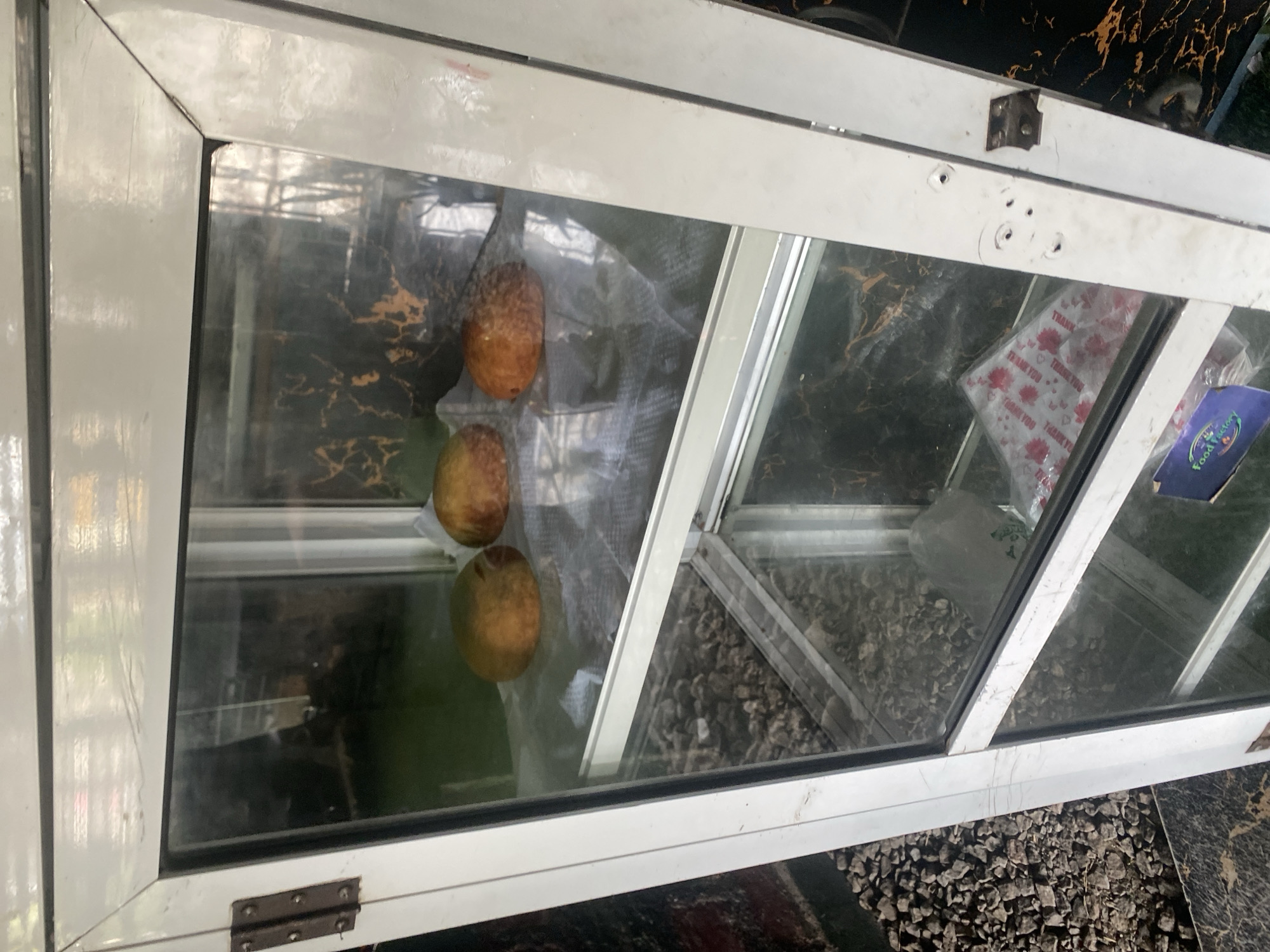 The image shows a rectangular glass display case with a white metal frame, viewed from above. Inside the case, there are three oval-shaped fruits, appearing to be avocados, placed on a white mesh fabric. The fruits are a light brown color with some green undertones. The background of the display case is dark and reflective, with what appears to be gravel or small stones visible at the bottom right. There are also some red and white patterned paper bags, with the text "THANK YOU" repeated on them, and a blue and white label with green text that reads "Food Factory". The display case is open at the top, and the scene suggests it might be a stall or a shop, possibly outdoors given the lighting and the reflection of foliage in the glass. The overall impression is a simple, functional display of produce. No people are visible in the image. The lighting suggests it is daytime.