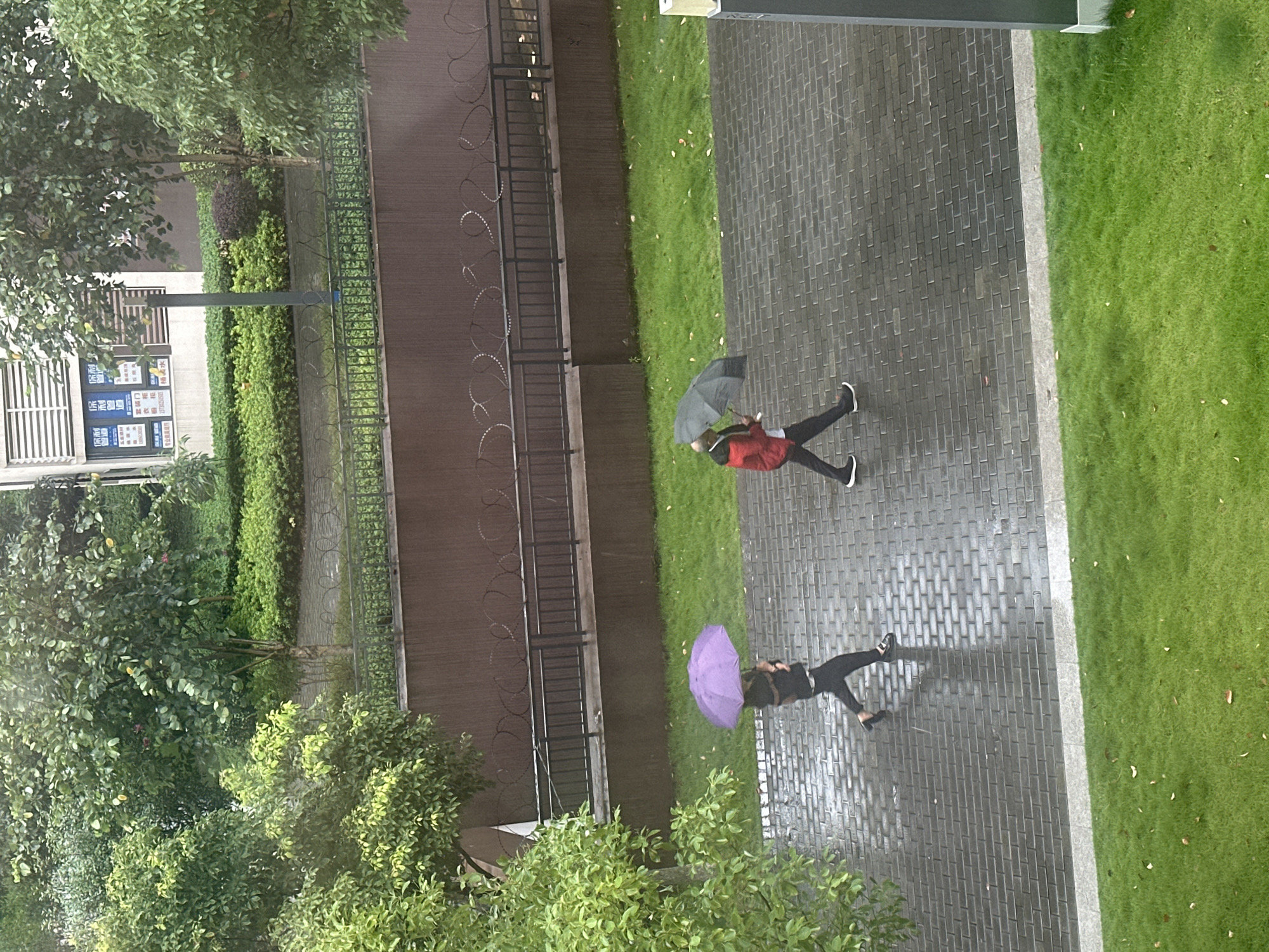 The image captures an overhead view of an outdoor pathway in the Chongqing High-tech Zone, China, following or during light rain. A grey brick-paved walkway, visibly wet and reflective, traverses the scene horizontally. Two individuals are walking from left to right along this path. The person on the left is wearing dark clothing, carrying a bag, and holding an open purple umbrella. The person on the right is wearing a red jacket over a white shirt, dark trousers, and holding an open dark-colored umbrella. They walk parallel to each other without apparent interaction.
The walkway is bordered by strips of lush green grass containing scattered brown leaves. Behind the grass, a brown concrete retaining wall is topped by a black metal fence adorned with coiled barbed wire-like elements. The background features abundant green foliage, including trees and dense bushes. Partially visible behind the trees is a light-colored building with horizontal louvers on its upper section. Multiple blue and white signs with Chinese characters, including "保利" (Baoli), and service-related text like "家政" (housekeeping) and "维修" (maintenance), are affixed to the building. A dark grey pole, likely a lamppost, stands near the building in the mid-ground. The scene depicts a well-maintained, developed outdoor area under overcast or rainy conditions.