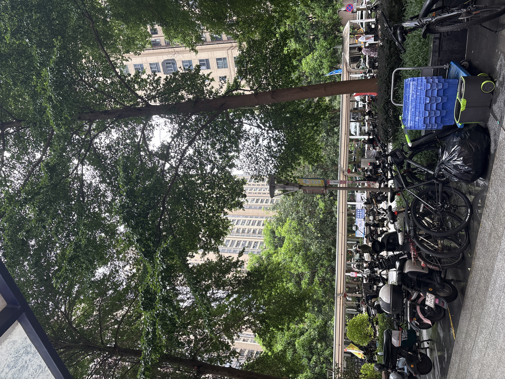 This is a full, slightly angled shot of an urban street scene, dominated by lush green trees in the foreground. Behind the trees, tall, modern buildings with many windows are visible. The street is lined with parked bicycles and scooters, suggesting a busy urban area. A blue plastic crate and a black trash bag are placed on the sidewalk next to some of the vehicles. The ground appears wet, possibly indicating recent rain. A yellow flag with Chinese text is planted near the parked vehicles. The lighting suggests it is daytime, and the cloudy sky hints at overcast weather. The scene conveys a sense of everyday urban life in a commercial or residential district in Haizhu District, China.