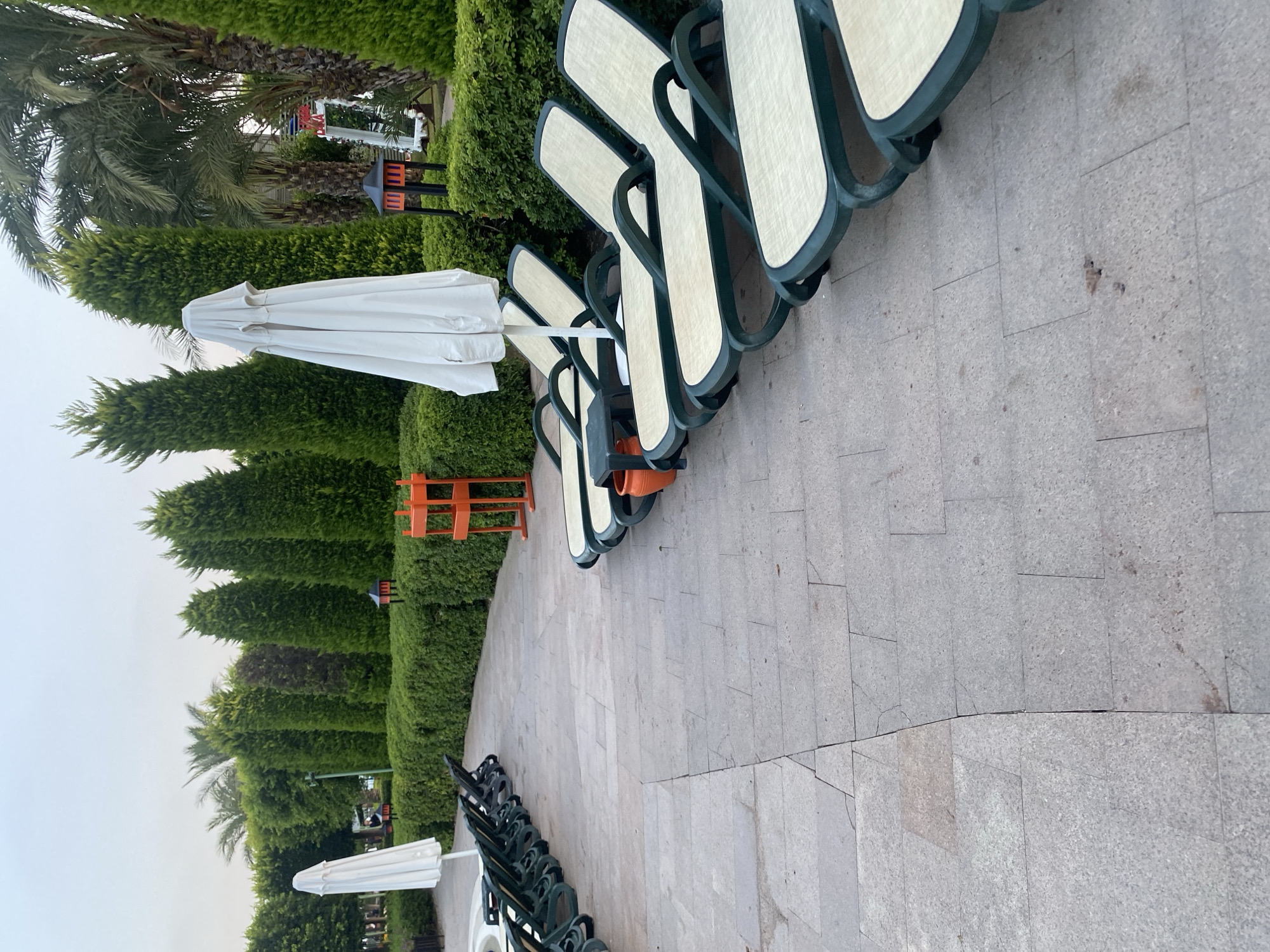 The image depicts an outdoor area with several empty lounge chairs lined up on a paved walkway. A row of manicured green bushes and tall, conical evergreen trees forms a backdrop. In the background, palm trees are visible. A white, folded umbrella stands upright to the left, and another umbrella, partially obscured, is to the right. An orange, metal stand is situated behind the lounge chairs. The paving stones are a light gray, with visible seams and some minor wear. The lighting suggests it is either early morning or late evening, with a soft, overcast sky. The scene appears to be a resort or a public garden area in Aksu, Turkey.