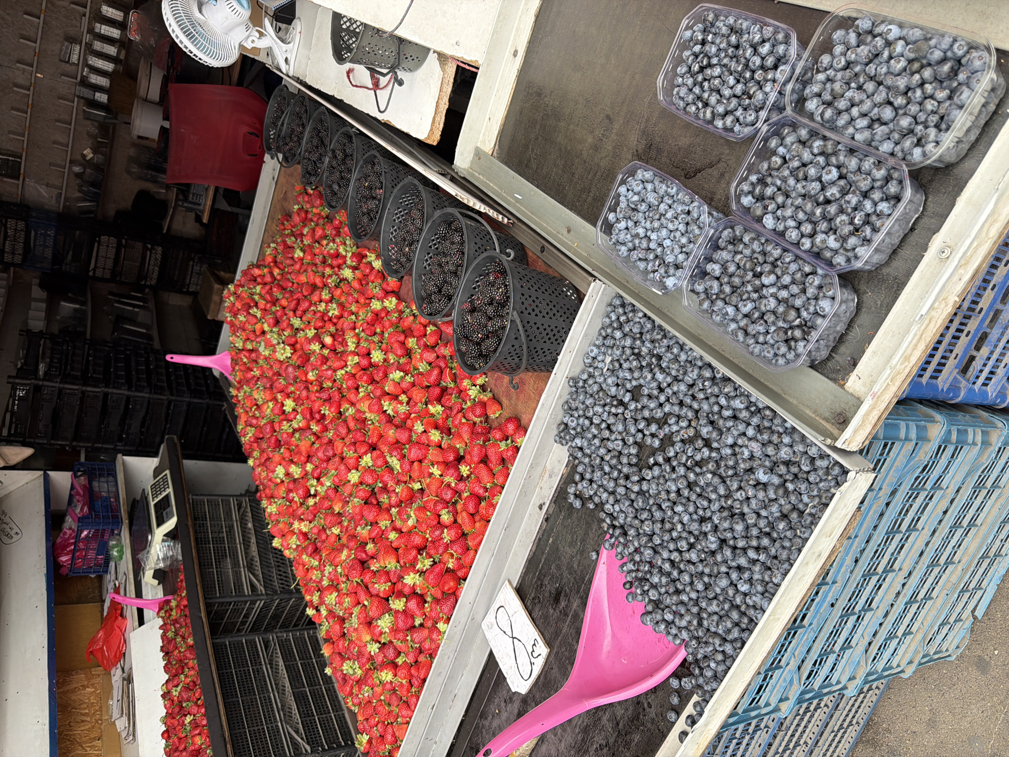 The image depicts a fruit stand, likely outdoors or in a covered market, displaying a large quantity of fresh strawberries in a shallow bin. To the right of the strawberries are several black mesh buckets filled with blackberries. In the foreground, a bright pink scoop rests on a pile of blueberries, which are also contained in clear plastic containers. The background shows shelving units filled with crates and various items, suggesting a marketplace or storage area. The presence of a fan on the right side of the image indicates a warm environment. While the specific location in Tbilisi, Georgia, cannot be definitively determined from the image alone, such a fruit stand is common in local markets and street vendors throughout the city, especially during berry season.