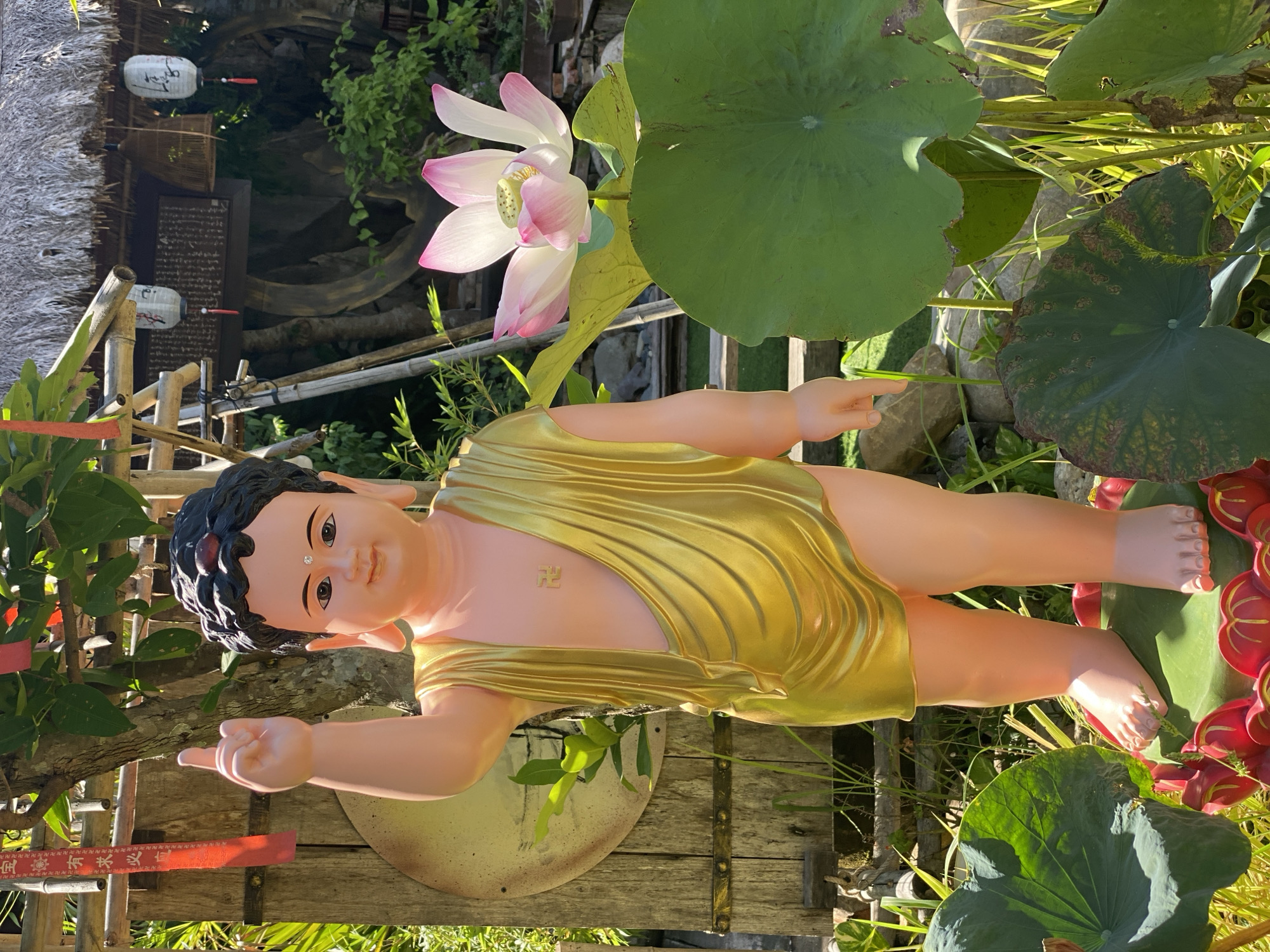This is a medium shot, eye-level photograph of a statue of the infant Buddha standing in a garden in Đà Nẵng, Vietnam. The statue is a light-skinned, child-like figure wearing a golden robe. The Buddha's right hand is raised with a pointing index finger, and his left hand is not visible. On the statue's chest is a swastika symbol. The statue stands on a lotus flower base. Behind the statue, to the left, is a wooden fence and a large, circular wooden disc with an etched pattern. To the right of the statue are large green lily pads and a pink lotus flower in bloom. In the background, a thatched roof structure with hanging lanterns is visible, along with trees and other foliage. The scene is bathed in sunlight, suggesting it is daytime.