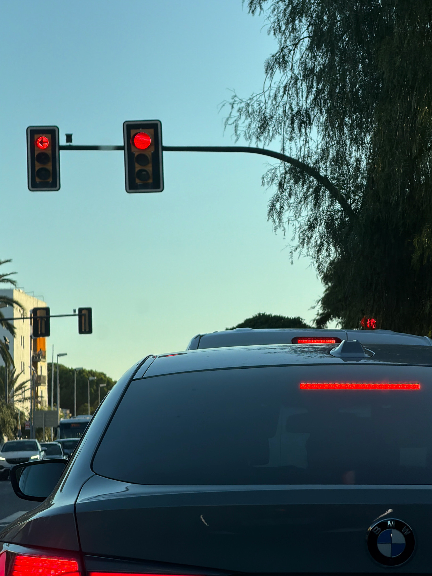 This is a photograph taken from inside a vehicle, looking forward at a street scene in the city of Vilafortuny, Spain. Two sets of traffic lights are visible, both displaying red signals. The left traffic light shows a red arrow pointing left, while the right traffic light shows a solid red circle. In the foreground, the rear of a dark-colored car is prominent, with its brake lights illuminated. Another vehicle, also with illuminated brake lights, is visible directly behind the foreground car. Beyond these vehicles, other cars and a bus are seen in traffic. To the left of the street, a white building with palm trees in front of it is present. A large tree with long, drooping branches is visible on the right side of the image, partially obscuring the sky. The sky is clear and a pale blue. The overall impression is of a traffic jam on a clear day in a Spanish city.