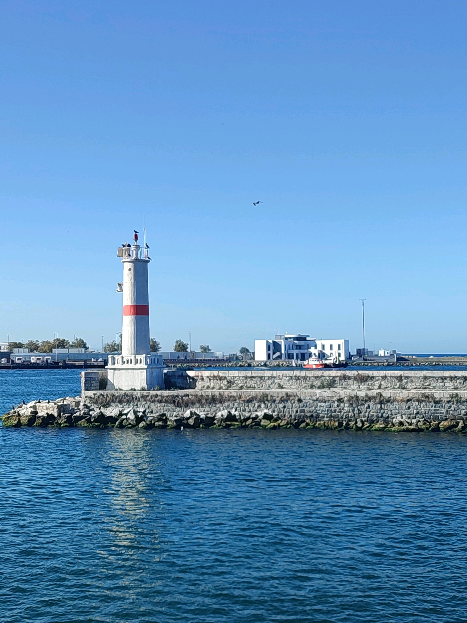The image shows a lighthouse on a rocky pier in Kadıköy, Turkey. The lighthouse is white with a red band around its middle. There are several birds perched on top of the lighthouse. In the background, there is a modern white building with a red boat in front of it. The sea is blue and calm. The sky is clear and blue.