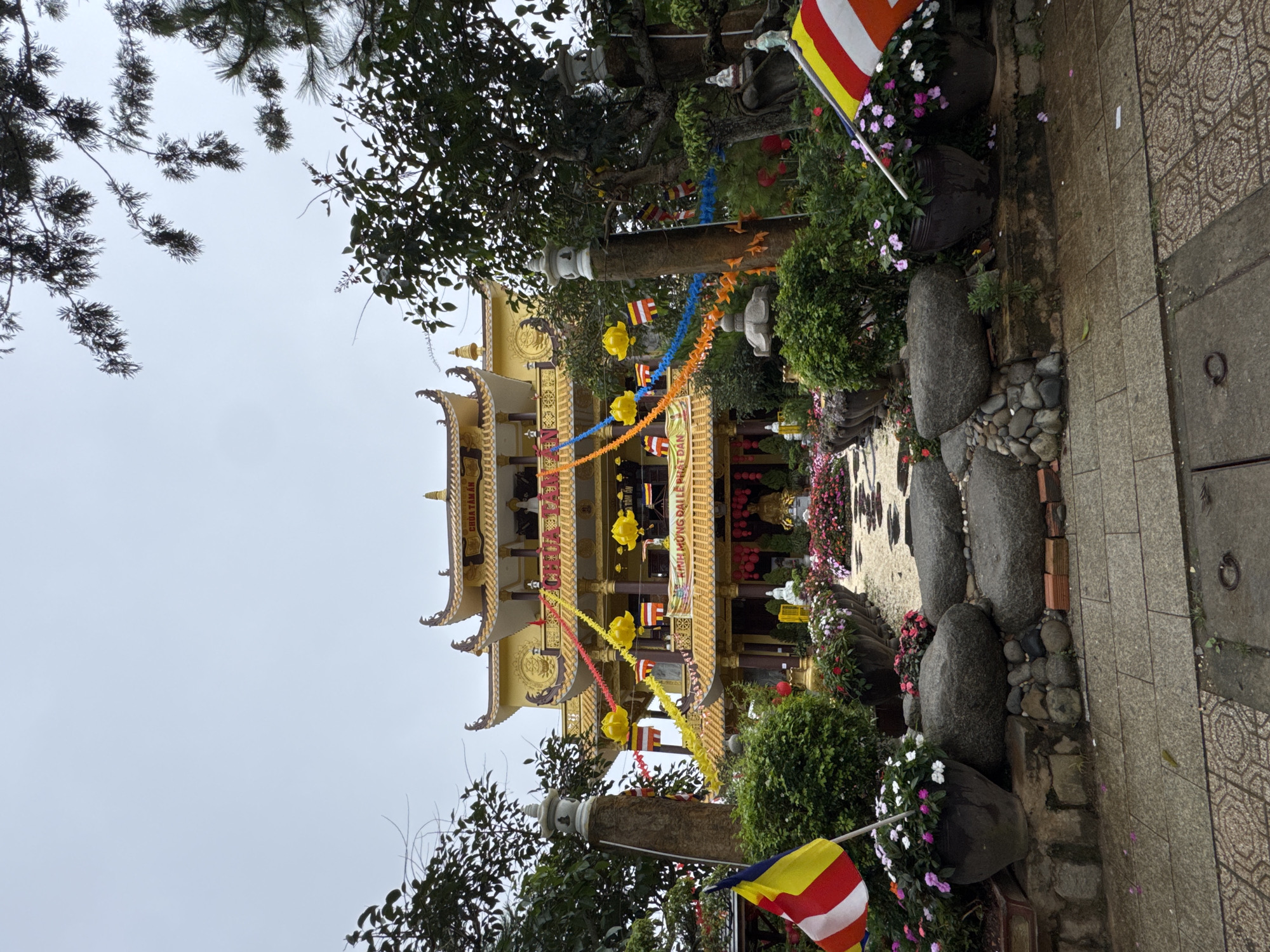The image depicts a Buddhist temple, identified as Chua Tam An, in Da Lat, Vietnam, on a cloudy day. The temple features traditional East Asian architectural elements, including a tiered yellow roof with intricate details and decorative eaves. Colorful banners and lanterns, including yellow lotus-shaped decorations and blue and orange streamers, adorn the temple's facade and surrounding trees.
In the foreground, a pathway made of stone slabs leads towards the temple. Large, smooth grey stones are arranged on either side of the path, interspersed with lush green bushes and potted plants filled with blooming flowers in shades of pink and white. Two large stone pillars with ornamental finials stand prominently on the left, each with a small pagoda-like structure atop. A Vietnamese flag, featuring red, yellow, and white stripes, is planted in the ground near the left pillar.
The temple grounds are well-maintained with a variety of flowering plants and green foliage. A stone path winds through the garden leading up to a central area where a large golden Buddha statue is visible. Several smaller Buddha statues and stone lanterns are also placed throughout the garden. The overall atmosphere suggests a serene and spiritual setting, decorated for a festive occasion. The environment is clearly a religious site with a focus on natural beauty and spiritual symbolism.