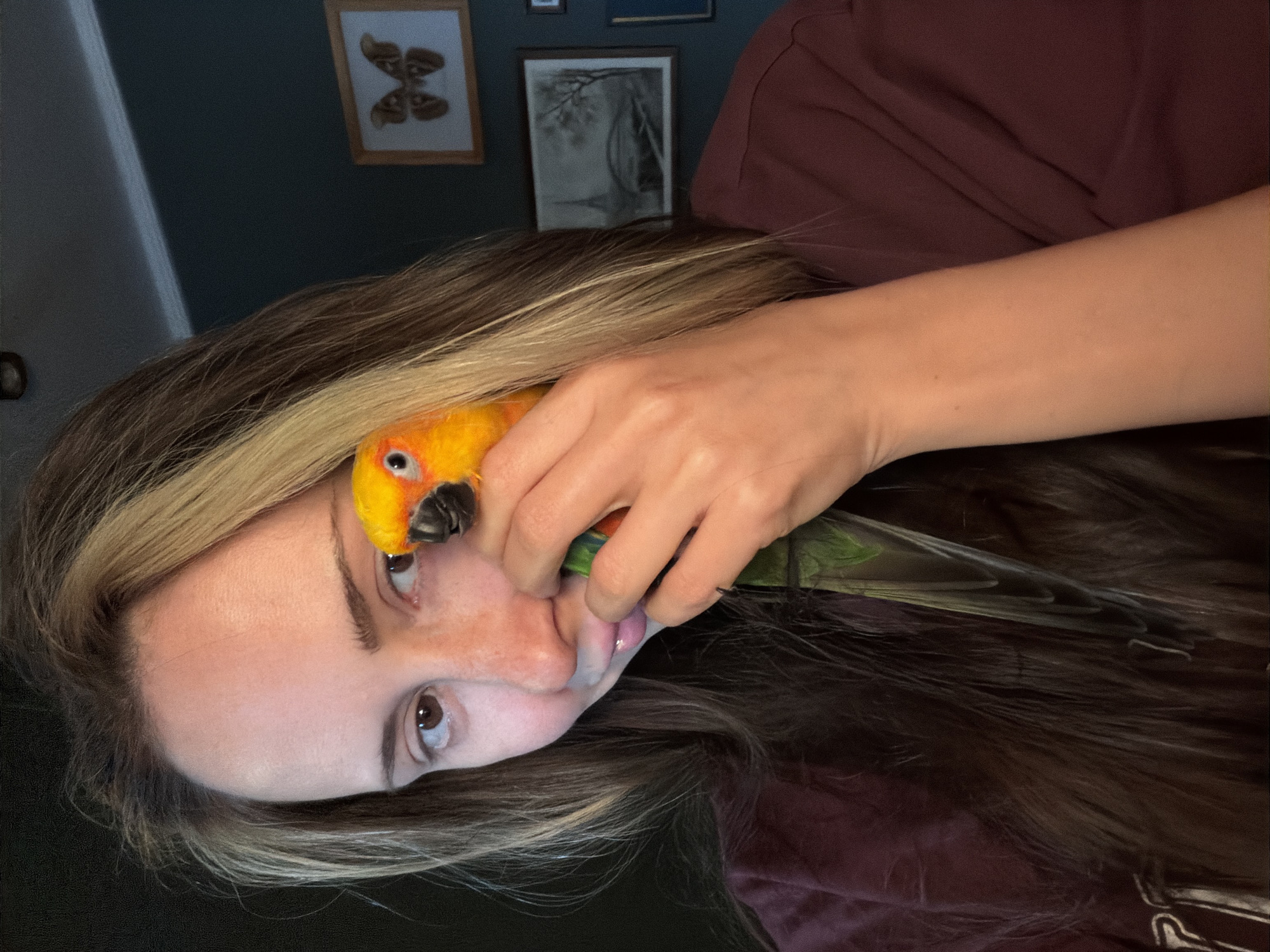 A person with light brown hair and brown eyes is lying down with a yellow and green parrot perched near their face. The person is holding the parrot with their hand. Two framed pictures are visible on the wall behind them.