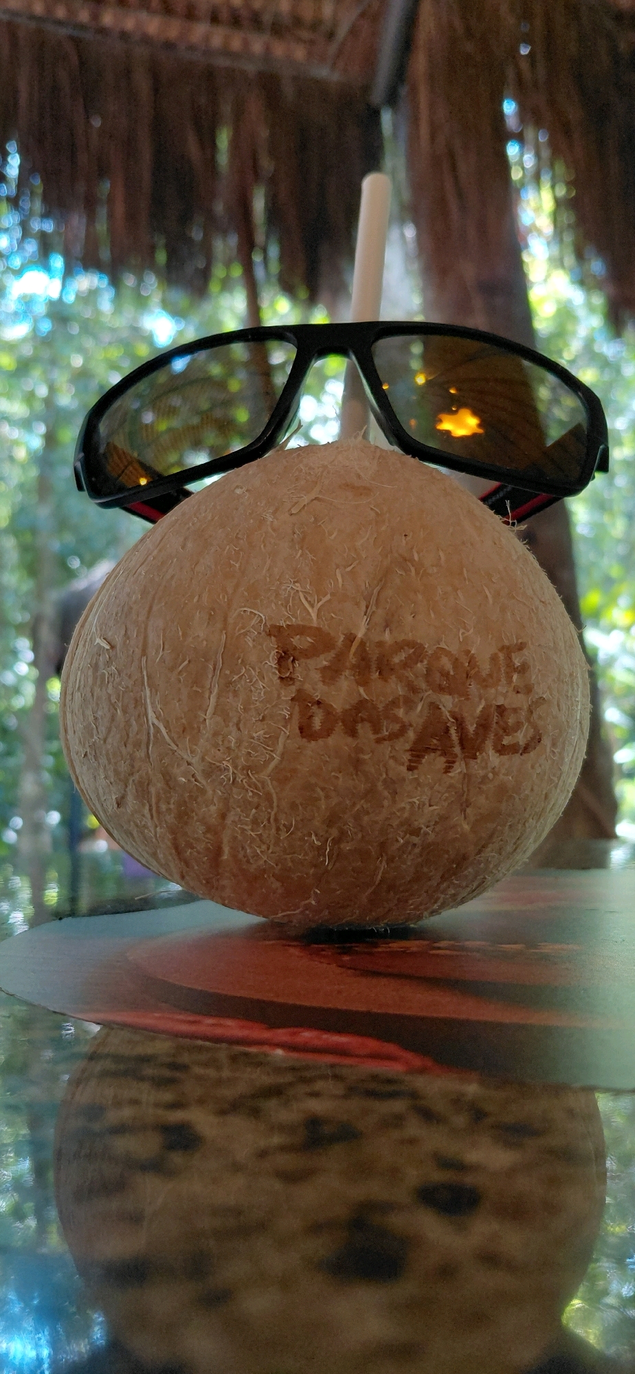 A coconut with sunglasses and a straw rests on a reflective surface. The coconut has "PARQUE DAS AVES" branded on it. In the background, there are out-of-focus green trees and a thatched roof. The reflection shows the coconut, sunglasses, and straw. The scene appears to be at Parque das Aves, a bird park located in Foz do Iguaçu, Brazil.