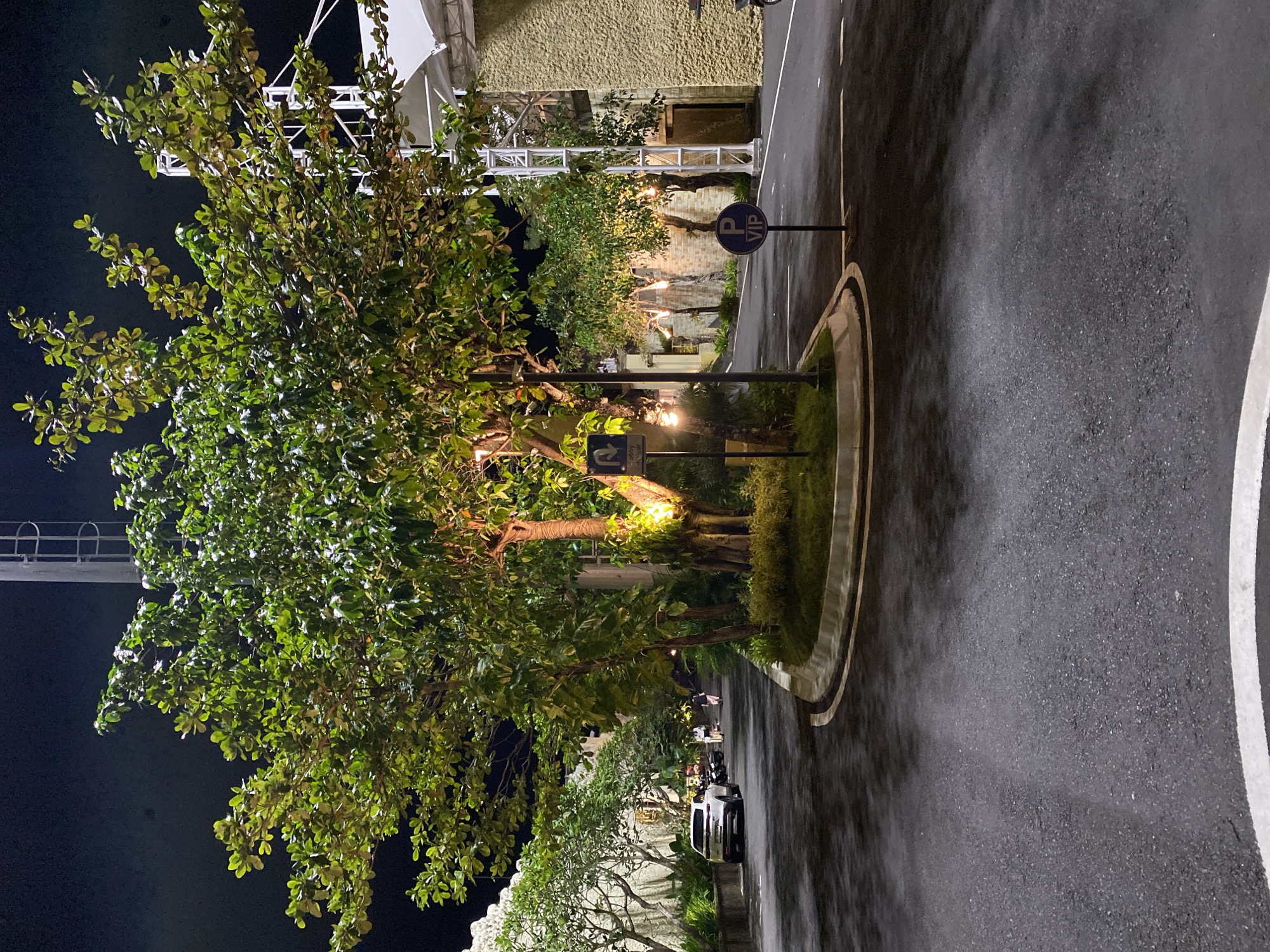 This is a night-time outdoor shot taken in Kuta Selatan, Indonesia. The scene depicts a tree-lined road at what appears to be a resort or a similar establishment. The road is paved and wet, suggesting recent rain, and marked with white lines. A large, leafy tree dominates the left side of the frame, its leaves illuminated by artificial lighting, creating a vibrant green contrast against the dark night sky.
In the background, there are buildings with textured walls and some architectural elements that suggest a modern design. Small lights are scattered throughout the landscape, illuminating trees and bushes, creating a warm and inviting ambiance. A circular planter with a small tree and manicured bushes is situated on the road.
There are a couple of traffic signs visible. One is a blue circular sign with a white "P" and the word "VIP" below it, indicating a VIP parking area. Another sign, further down the road, is also blue and circular with white symbols.
A few cars are parked or driving on the road in the distance, and some people can be seen walking in the background, suggesting the area is active despite the late hour. The overall mood is serene and perhaps a little mysterious due to the night setting and the wet conditions. The lighting adds a touch of luxury and highlights the natural elements of the scene.