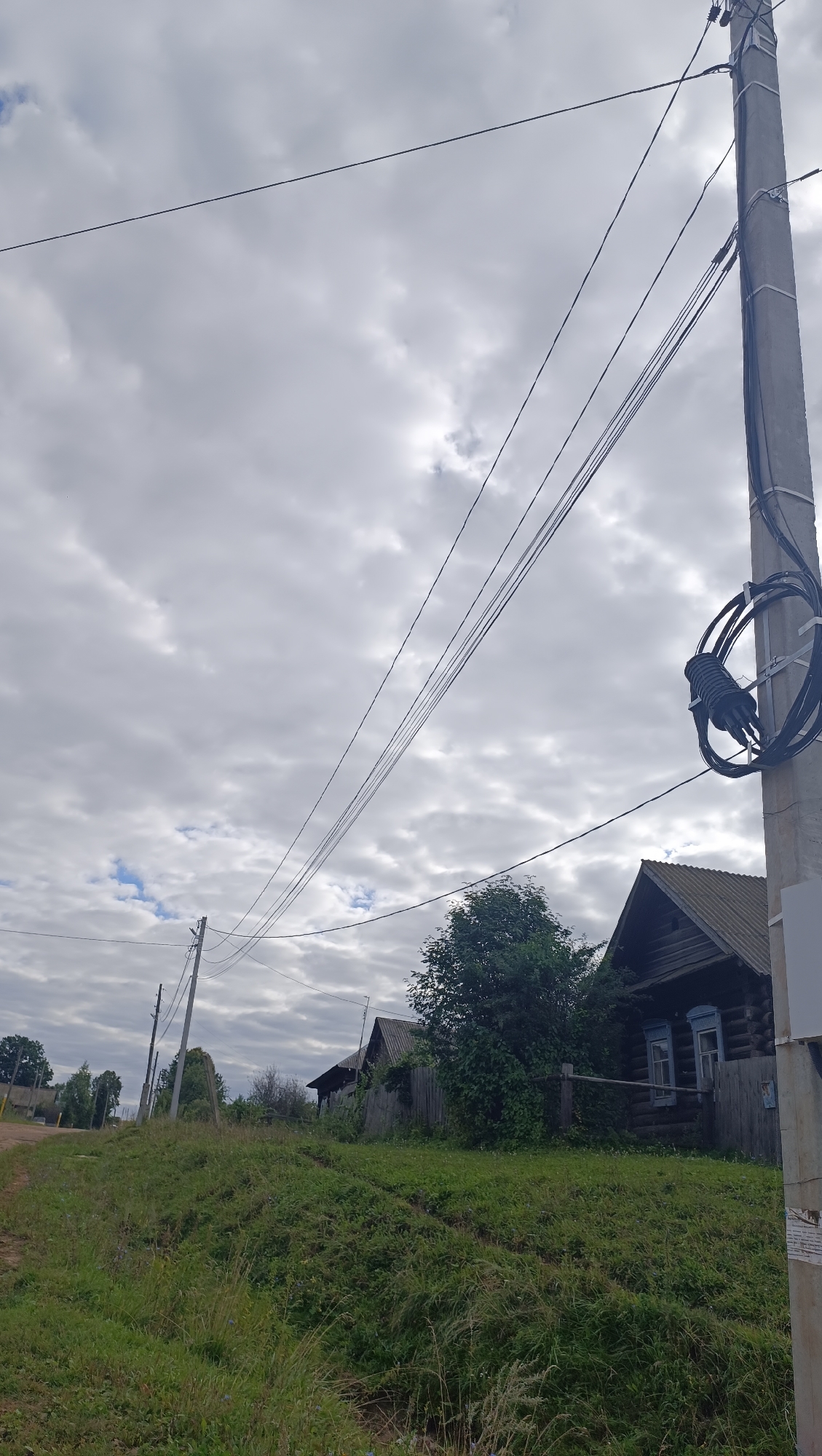 The image depicts a rural scene with a cloudy sky. In the foreground, tall green grass and some wildflowers grow on a gentle slope. A dirt road is visible to the left, leading into the distance. Several utility poles with overhead wires traverse the scene, one of which is a concrete pole on the right side of the image, secured with metal brackets and holding coiled black cables. Two rustic wooden houses with dark roofs and visible window frames are situated in the middle ground, partially obscured by trees. The house on the right appears to be constructed of logs and has blue window trim. A wooden fence runs in front of the houses. Trees and vegetation are scattered throughout the landscape. The overall impression is one of a quiet, somewhat overgrown village setting.