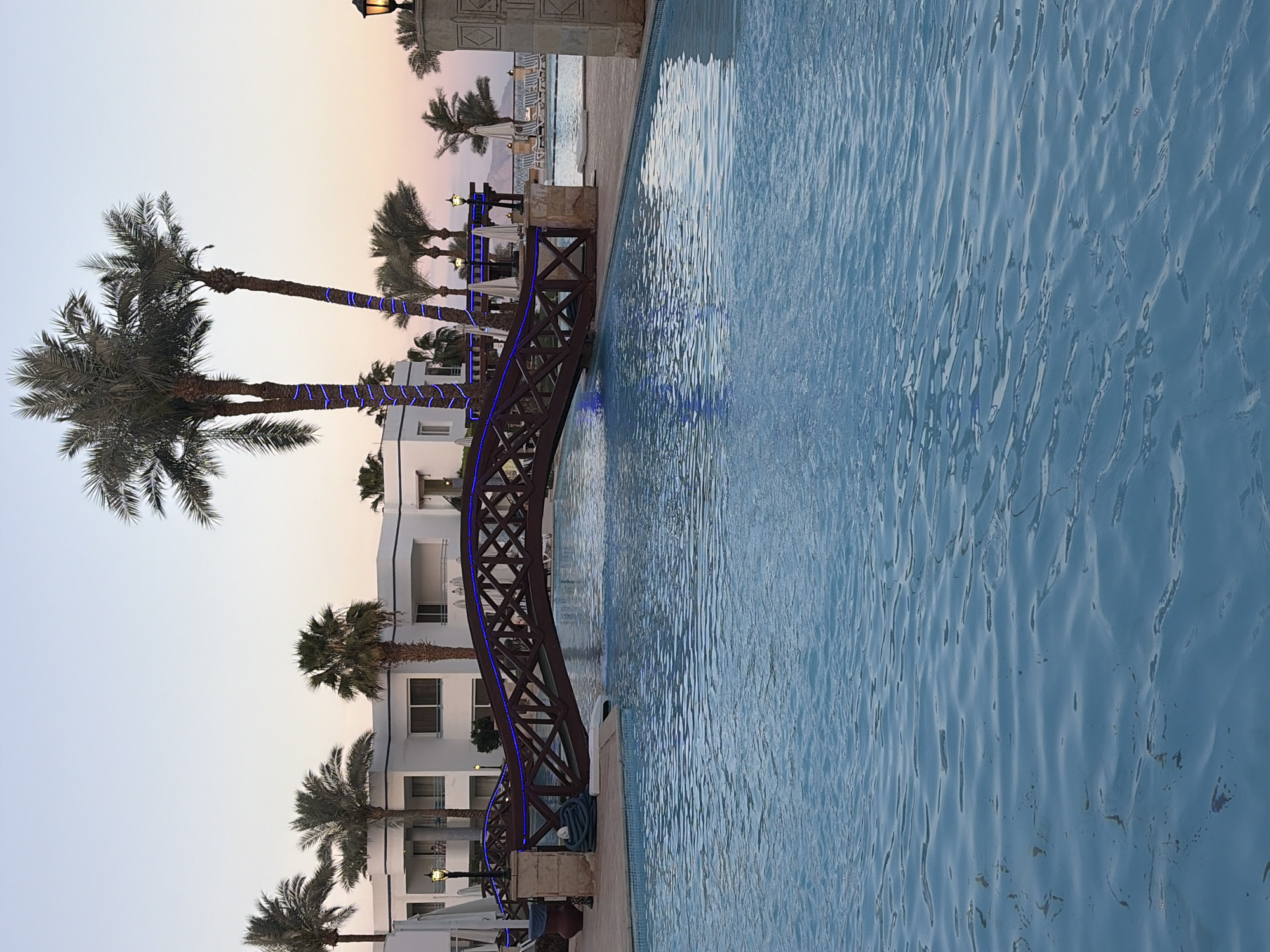 The image captures an outdoor resort environment at dusk or dawn in Sharm El Sheikh, Egypt. The foreground is dominated by a large, light blue swimming pool with gently rippling water. Spanning across the pool is a dark brown, arched wooden bridge featuring a lattice design on its railings, which are illuminated by blue string lights.
Numerous tall palm trees are scattered throughout the scene; several palm tree trunks, particularly in the midground, are wrapped with blue string lights. In the background, multi-story white resort buildings with multiple balconies and dark-framed windows are visible. One individual is discernible standing on a balcony of the leftmost building. Beyond the bridge, a paved area with multiple white sun loungers and white parasols is present. A classic-style lamppost with a yellowish glow is situated on the right side of the image, beyond the bridge. A green coiled hose rests near the left base of the bridge. The sky displays a gradient from light blue directly overhead to a pale orange-pink near the horizon, with distant, dark mountainous terrain faintly visible beneath the changing light.