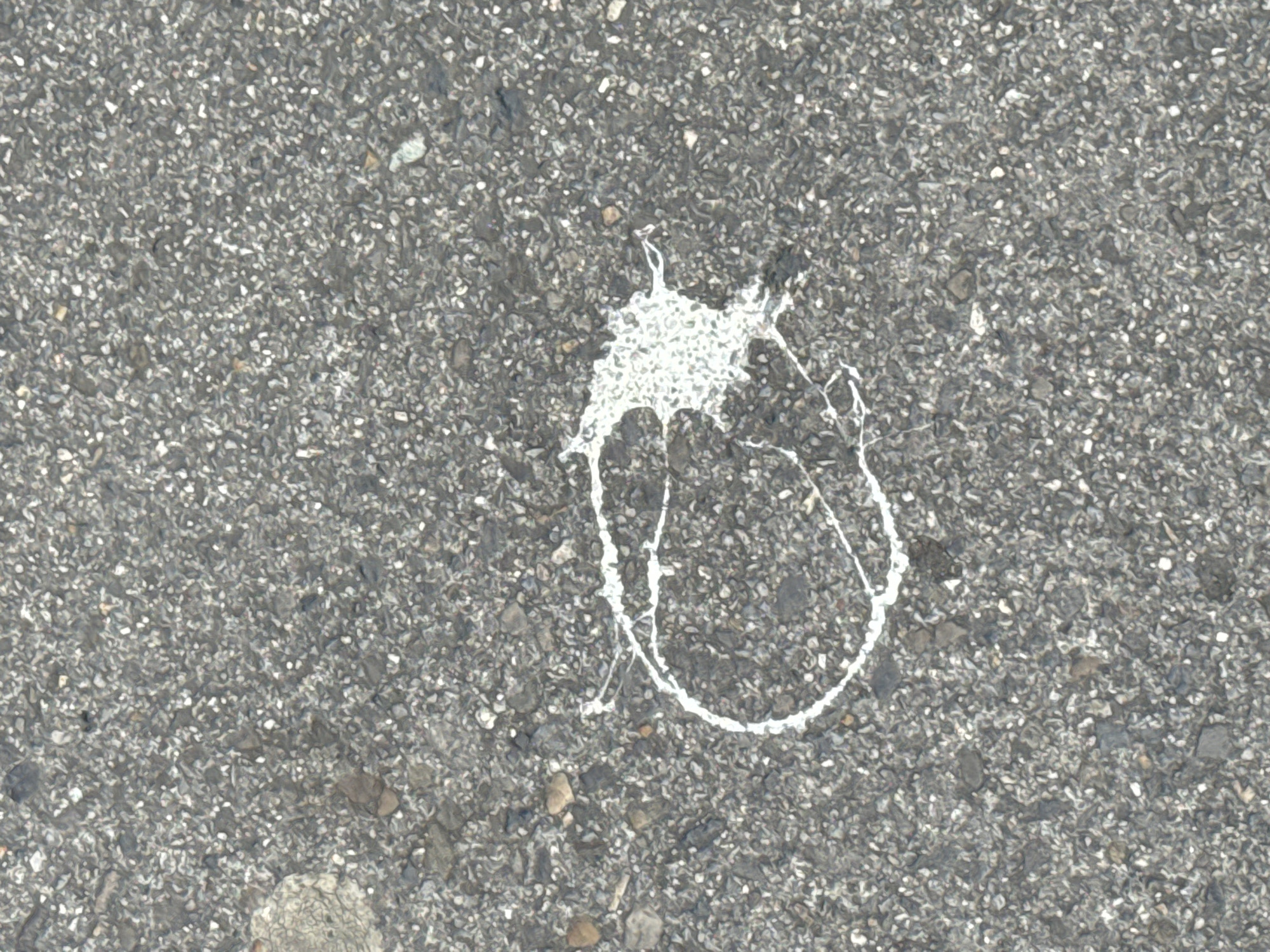 The image is an aerial, eye-level shot of bird droppings on an asphalt surface. The droppings are white and splattered in a roughly circular pattern, with some trailing liquid residue. The asphalt is dark grey and speckled with various sized stones, typical of a road or pavement. There are no other discernible objects or people in the frame, and no context is provided to determine the specific location within the city of Waterford, Ireland. The scene is static and appears to be an everyday occurrence in an urban environment.