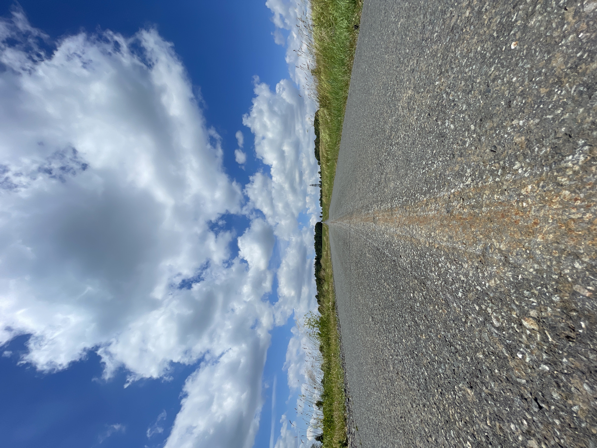 A low-angle, wide-angle shot captures a two-lane asphalt road receding into the distance. The road is marked with a faded, rust-colored line down the center. To the left and right of the road, tall, dry grass and weeds border the asphalt. In the background, a line of trees and rolling hills mark the horizon, beneath a vast expanse of blue sky filled with fluffy, white cumulus clouds. A single, slender radio tower is visible in the distance on the right side of the frame. The scene appears to be located in the rural area of Schwarzenborn, Germany, given the characteristic landscape and the presence of a radio tower, which is a common feature in the area. There are no people or animals visible in the image.