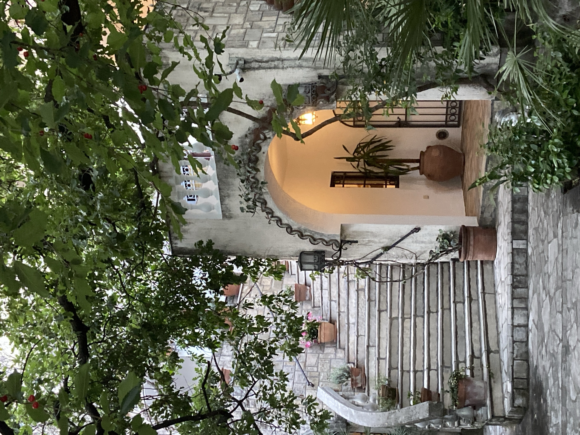 The image captures a stone staircase leading up to an arched doorway. The doorway is illuminated with a warm light, and a large clay pot sits inside. The staircase is lined with potted plants. Overhanging greenery frames the shot. The scene is reminiscent of an old European town, possibly in Budva, Montenegro. The architecture appears to be Mediterranean.