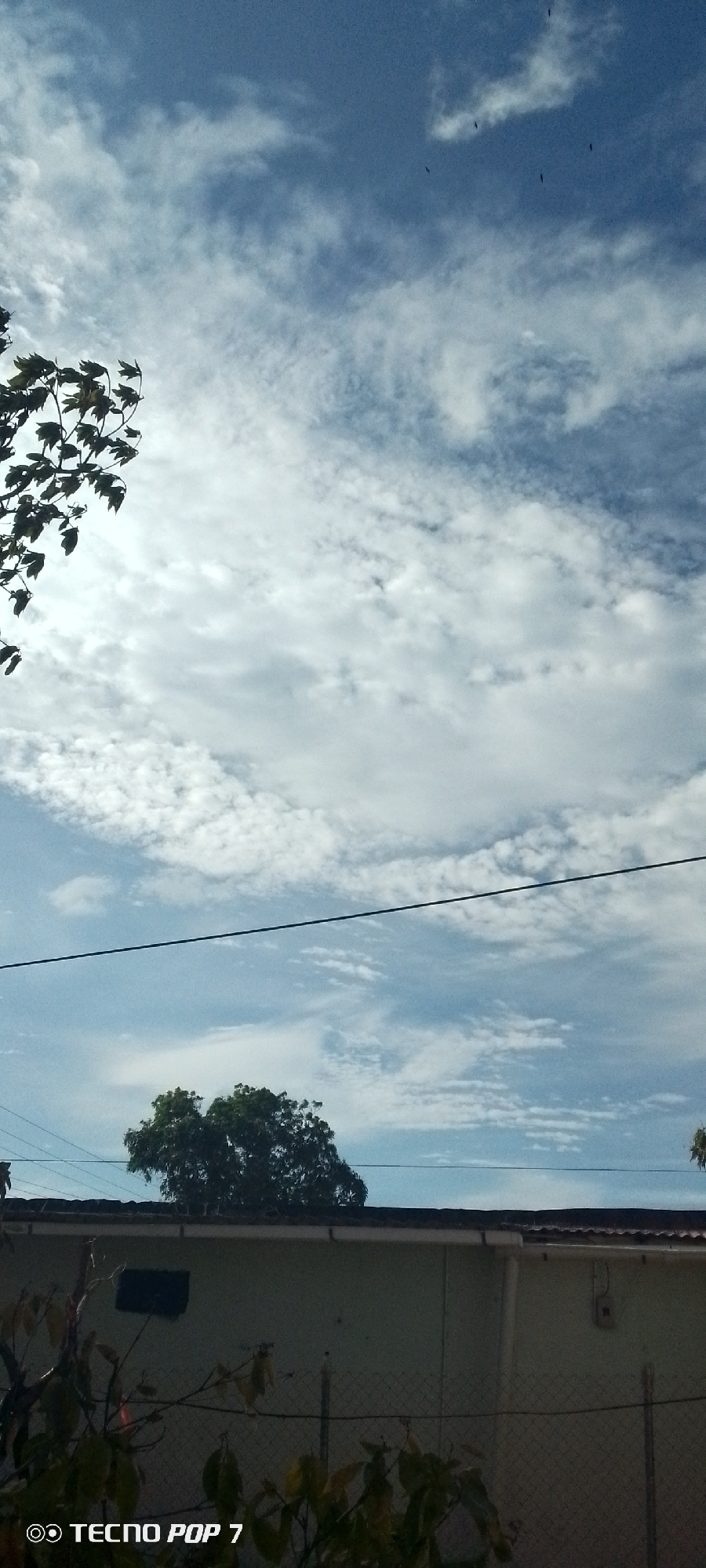 The image, taken in Altagracia, Venezuela, shows a partially obscured view of the sky above a single-story building. The sky is filled with cirrocumulus and cirrus clouds against a blue backdrop. Some birds are flying high in the sky. An electrical wire stretches horizontally across the middle of the frame. The building has a light-colored wall and a dark tiled roof. A few tree branches with leaves are visible in the foreground, partially obscuring the lower part of the building. A wire fence is present in front of the building. "TECNO POP 7" is printed at the bottom of the image, likely indicating the phone model used to capture it.