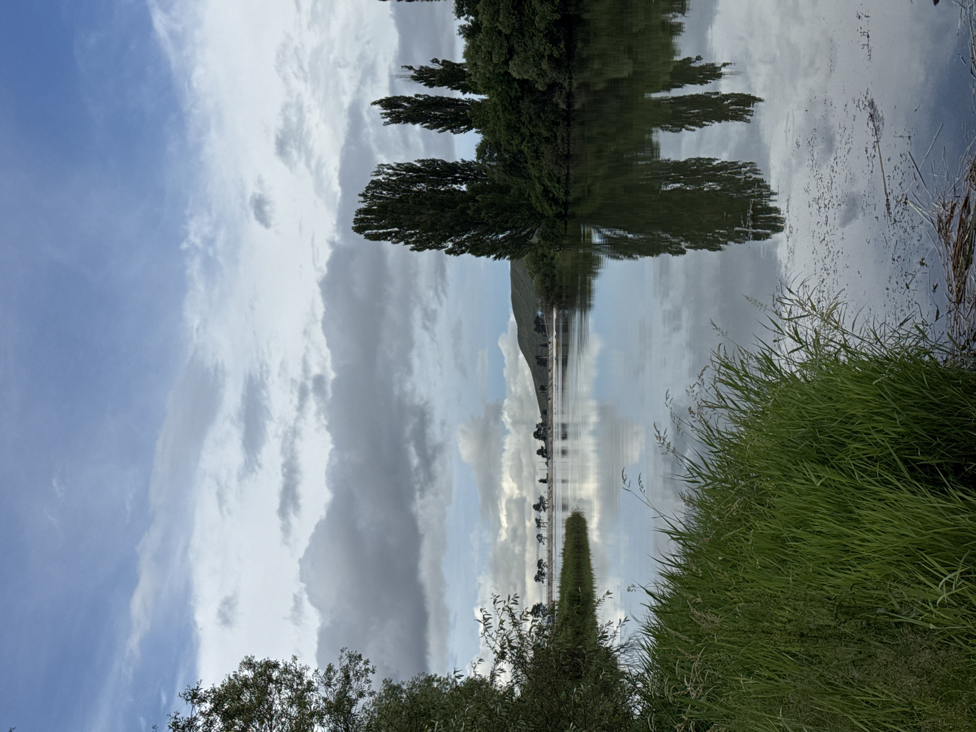 The image depicts a serene natural landscape, likely a body of water such as a lake or river, bordered by lush green vegetation. On the left side of the foreground, tall, dense grass grows, reaching towards the water's edge. The water itself is calm and reflective, mirroring the overcast sky and the trees on the opposite bank. These trees, which include tall, slender poplars and a variety of other dense green foliage, stand prominently on the far bank. In the distance, a gently sloping hill is visible under a cloudy sky. The overall impression is one of tranquility and natural beauty, devoid of human presence. The location is specified as Krasnogorskaya, Russia.