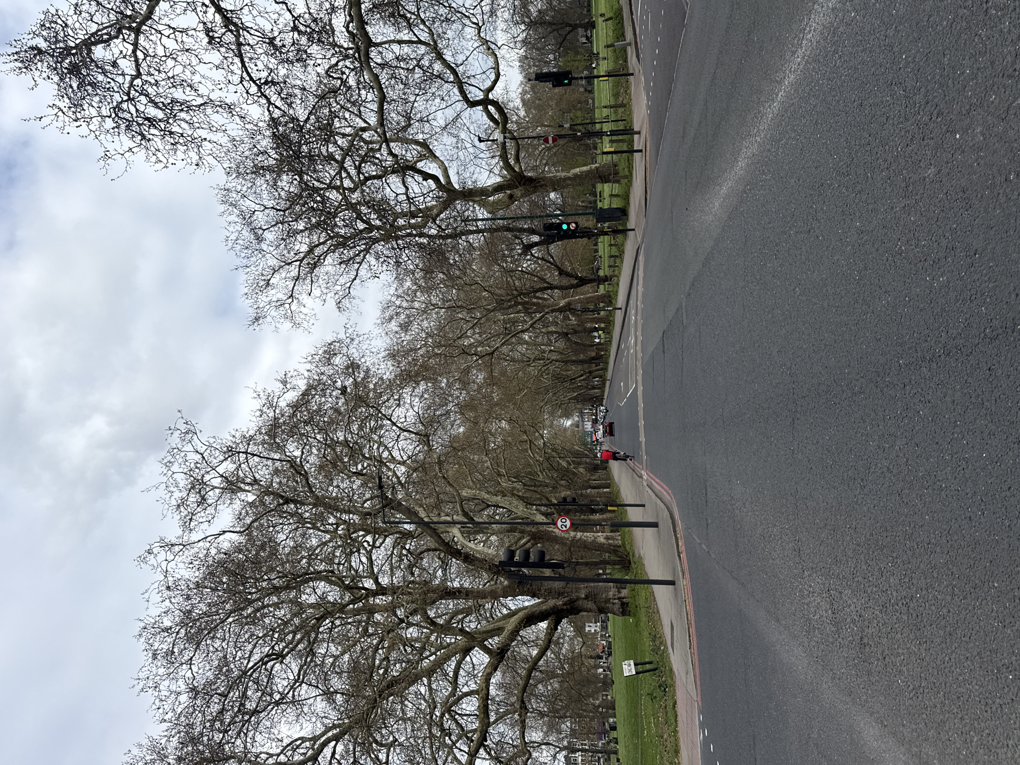 The image shows a straight road in London, United Kingdom, flanked by a line of tall, bare trees on the left, their branches forming a canopy overhead. Traffic lights line the side of the road amongst the trees. A person on a bicycle is on the road further in the distance, with other vehicular traffic behind them. The road surface is dark and asphalt. There is a sidewalk to the left of the road with grass beyond. A 20 mph speed limit sign is visible. The sky is overcast with grey clouds.