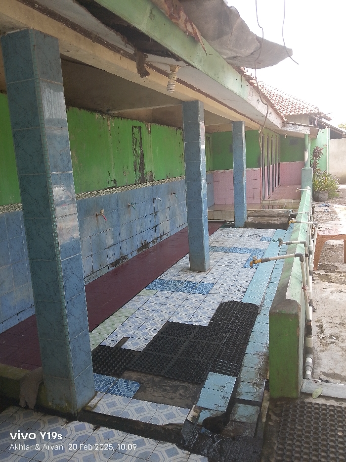 This image captures a long, outdoor communal washing or ablution area, likely located in Patrol, Indonesia. The scene is devoid of people, suggesting a moment of quiet. The facility consists of a covered walkway with a series of individual washing stations.
The structure features light green-painted walls, which show signs of wear with peeling paint and discoloration. Tall pillars, tiled with blue and white patterned ceramic, support the roof. Below the green walls, the lower section is tiled with similar blue and white patterns, featuring several silver-colored water taps protruding at regular intervals. A long, narrow red-brown tiled strip runs along the base of this wall, likely serving as a drainage channel. The main floor area is covered with blue and white patterned tiles, with some black rubber anti-slip mats placed intermittently.
Further down the pathway, beyond more blue-tiled pillars, there are several small, cubicle-like washing stalls with pink and white patterned tiles, and visible entryways. The roof structure above is somewhat rustic, with exposed beams, and appears to have some debris or foliage on it, suggesting age or a natural environment. A light bulb hangs from the ceiling near the first set of pillars. Along the right side of the image, a low green-painted wall runs parallel to the washing stations, with more water taps and associated PVC piping. A glimpse of a plastic chair and some potted plants is visible in the background on the right.
The image was taken in bright daylight, indicated by the strong illumination. A timestamp in the bottom left corner reads "vivo Y19s Akhtar & Arvan 20 Feb 2025, 10.09," indicating the device used, possibly the photographers' names, and the date and time of capture.