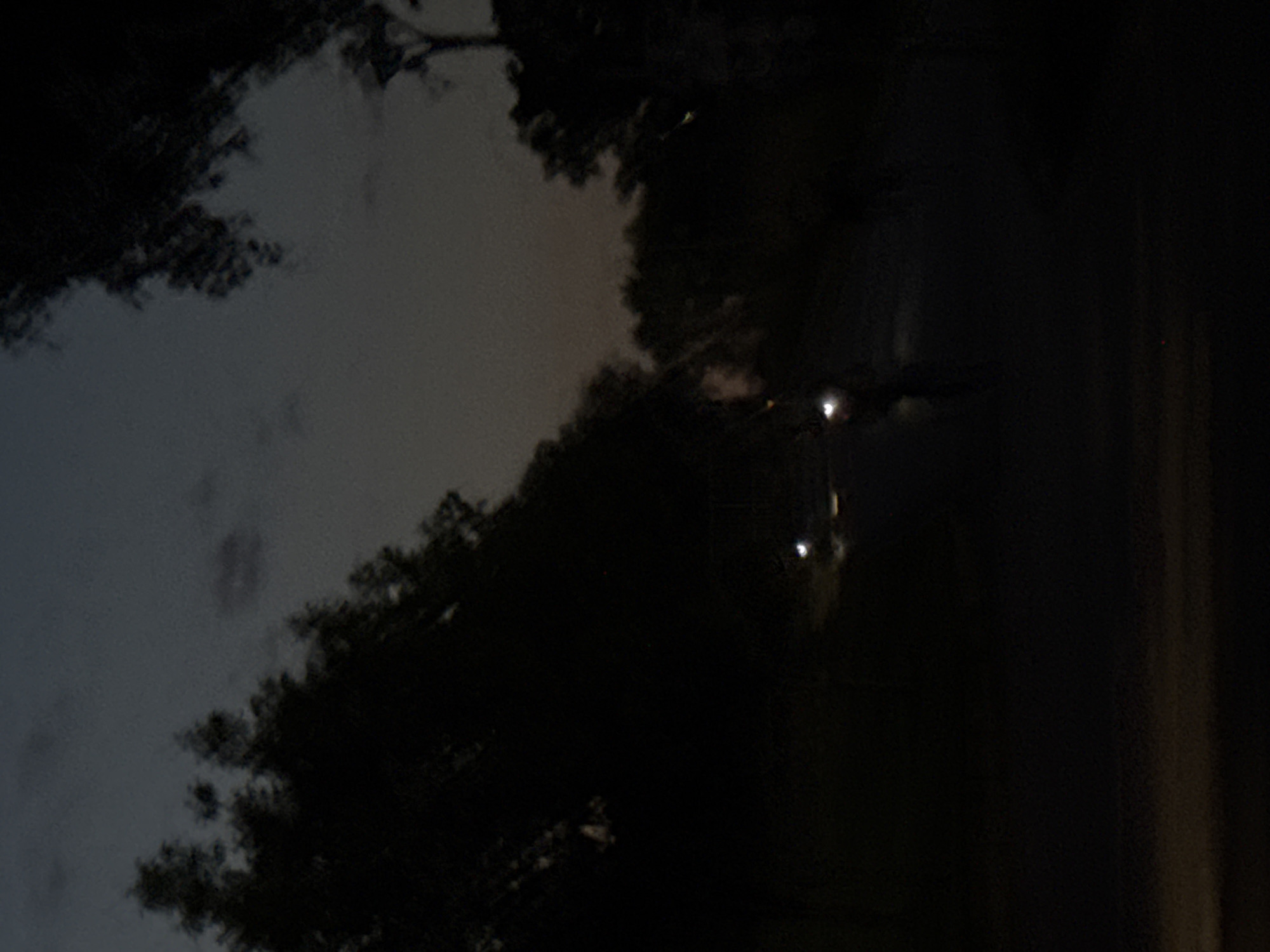 The image depicts a dark, possibly twilight scene with silhouetted trees framing a dusky sky. In the mid-ground, there are faint lights that suggest distant streetlights or vehicle headlights. One light source appears as a bright crescent, possibly a reflection or a partially illuminated object. The overall impression is one of low visibility and a tranquil, perhaps slightly eerie, atmosphere. The location in Sofia, Bulgaria, is not discernible from the visual information provided in the image. There are no identifiable people or specific objects that would indicate a particular setting within the city.