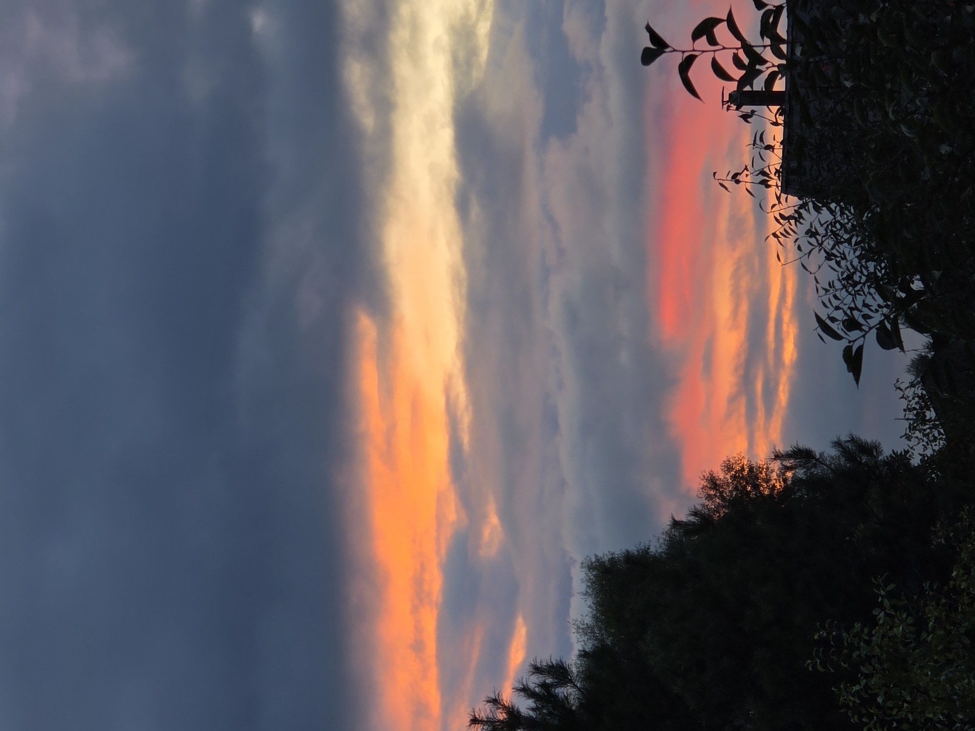 The image captures a dramatic sunset over the city of Rechitsa, Russia. Dark, brooding clouds dominate the upper portion of the sky, contrasting sharply with the vibrant bands of orange and pink that illuminate the horizon. These colorful streaks of light are diffused by layers of lighter, grayer clouds, creating a sense of depth and texture. Silhouetted against this vivid sky are the dark shapes of trees on the left and a building with a chimney on the right. The trees are lush and dense, their branches reaching upwards. The building appears to be made of stone or brick, and the chimney is a prominent vertical element. The foreground is filled with the dark foliage of bushes and smaller trees, further emphasizing the silhouettes against the illuminated sky. The overall atmosphere is one of natural beauty and impending twilight.