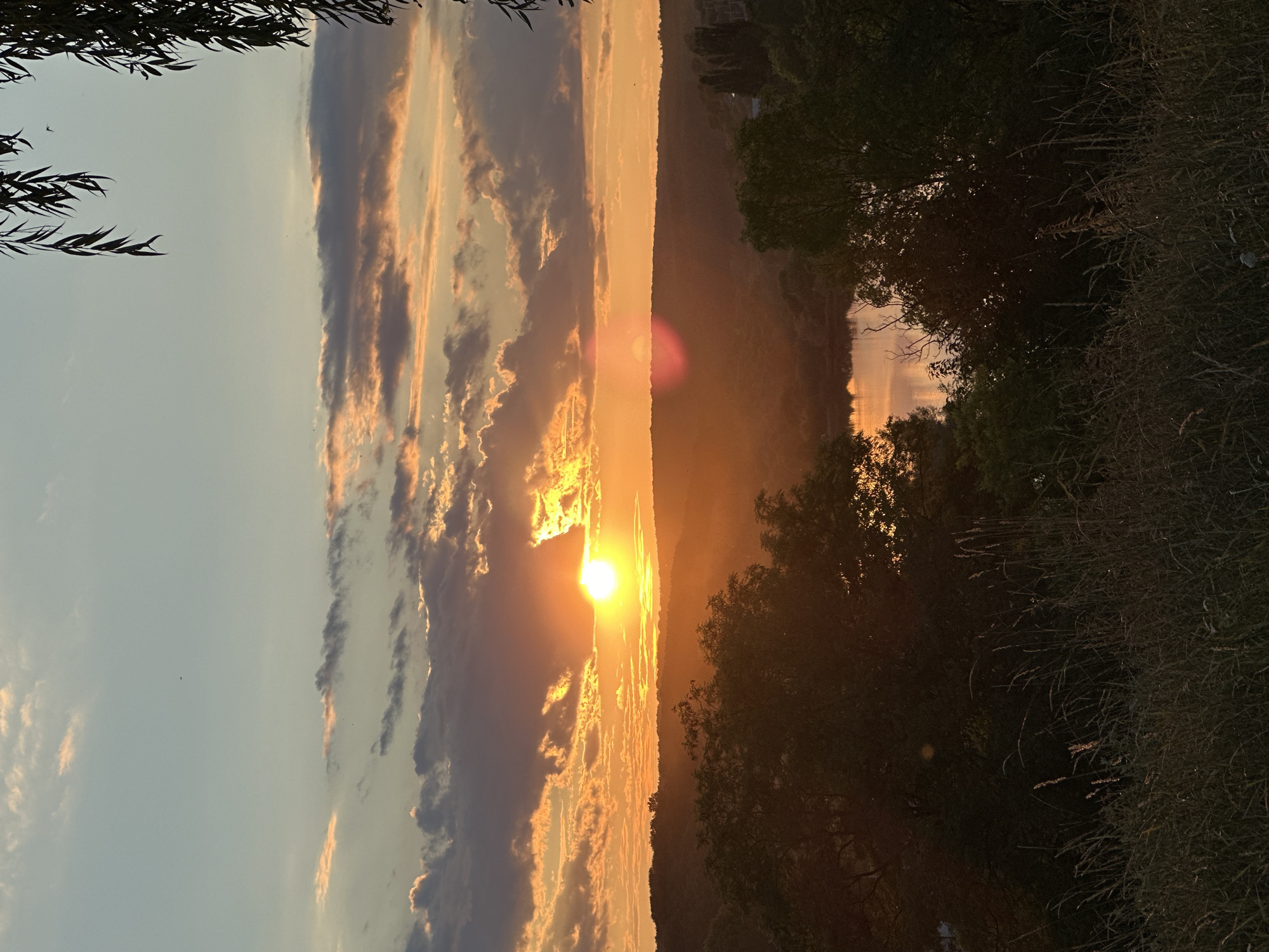 The image captures a sunset over a rural landscape, likely in or near Makiv, Ukraine. The sky is filled with a gradient of warm colors, from a pale blue at the top to vibrant oranges and yellows near the horizon where the sun is partially obscured by clouds. The sun itself is a bright, incandescent orb, casting a warm glow across the scene. Wispy clouds are scattered across the sky, some tinged with pink and orange from the setting sun.
Below the sky, a rolling landscape of hills is visible, covered in dense foliage. A body of water, possibly a lake or river, is nestled in the valley, reflecting the colors of the sky. In the foreground, trees and tall grasses create a natural frame for the scene. The overall atmosphere is serene and picturesque, characteristic of a rural sunset. There are no people or discernible actions depicted in the image.