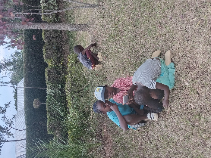 Four young children are gathered on a grassy area, possibly a park or yard. One child is sitting alone in the background, further away from the others, with their head down. In the foreground, three children are closely huddled together, seeming to be looking at a mobile phone held by one of them. The scene is outdoors, featuring green grass, trees, bushes, and a partial view of a building.