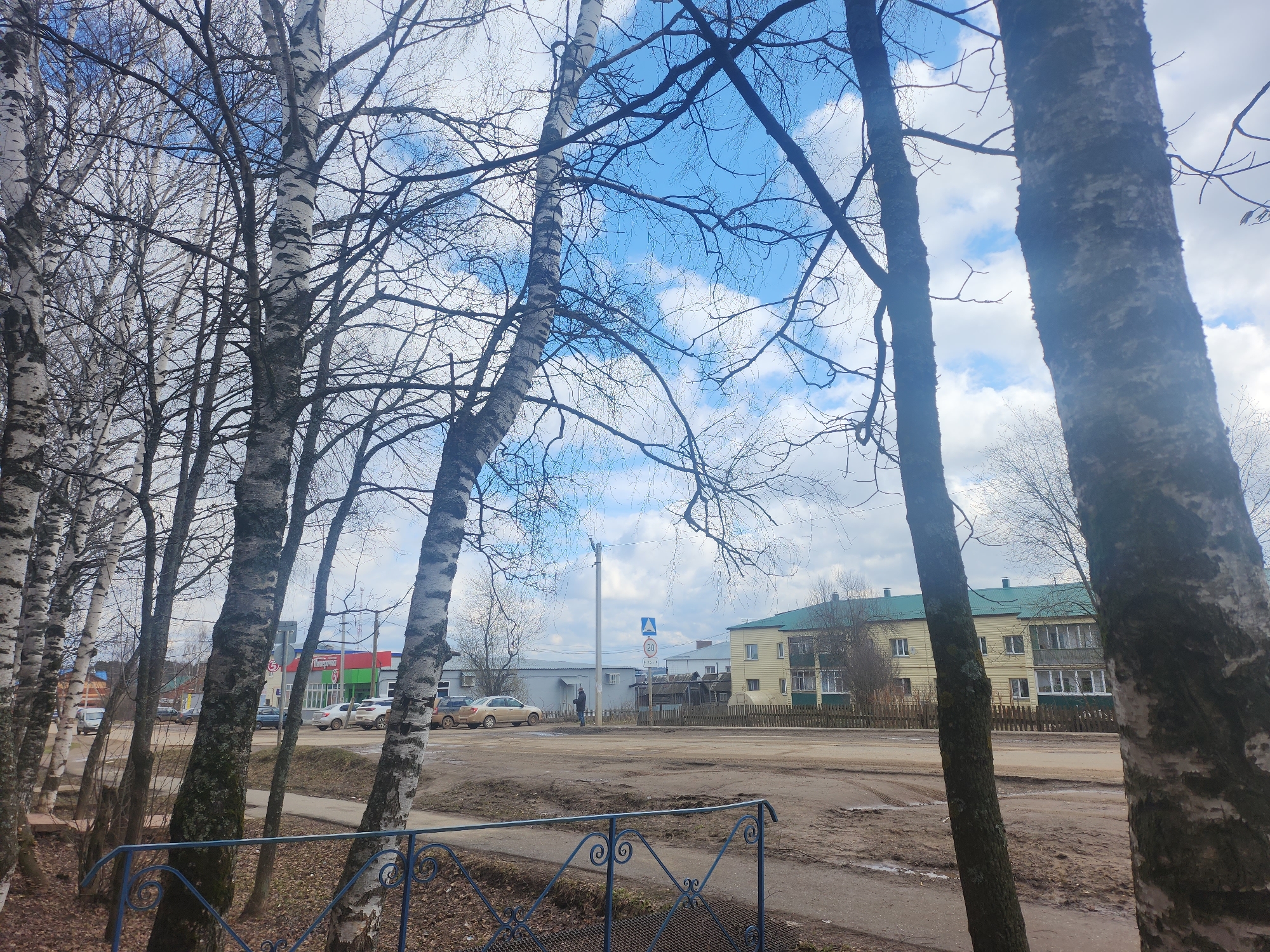 This image captures a street scene, likely in early spring, in Krasnogorskoye, Russia. The foreground is dominated by a row of birch trees with bare, dark branches, indicating the season. A blue decorative metal railing runs across the bottom of the frame, behind which the ground appears muddy and covered with fallen leaves.
In the midground, a wide, unpaved or dirt-covered road stretches horizontally. Several cars are parked on the far side of the road, including a light-colored sedan and a white SUV. Across the road, a yellow two-story building with a green roof and enclosed balconies is visible. To its left, another building features a bright red, green, and white facade with the Cyrillic text "Пятёрочка" (Pyaterochka), indicating a common Russian supermarket chain.
Near the center-left, a utility pole stands with two visible signs: a circular white sign with a red border displaying "20," signifying a speed limit of 20 km/h, and below it, a blue-bordered triangular sign depicting two children, which typically warns of a children's crossing. One person is standing near this pole.
The sky is a mix of bright blue patches and white, fluffy clouds, suggesting a partly cloudy day. The bare trees, muddy ground, and specific architecture point to a typical provincial town setting in Russia during the transition from winter to spring. There is no specific activity or event taking place, just a snapshot of an ordinary street.
