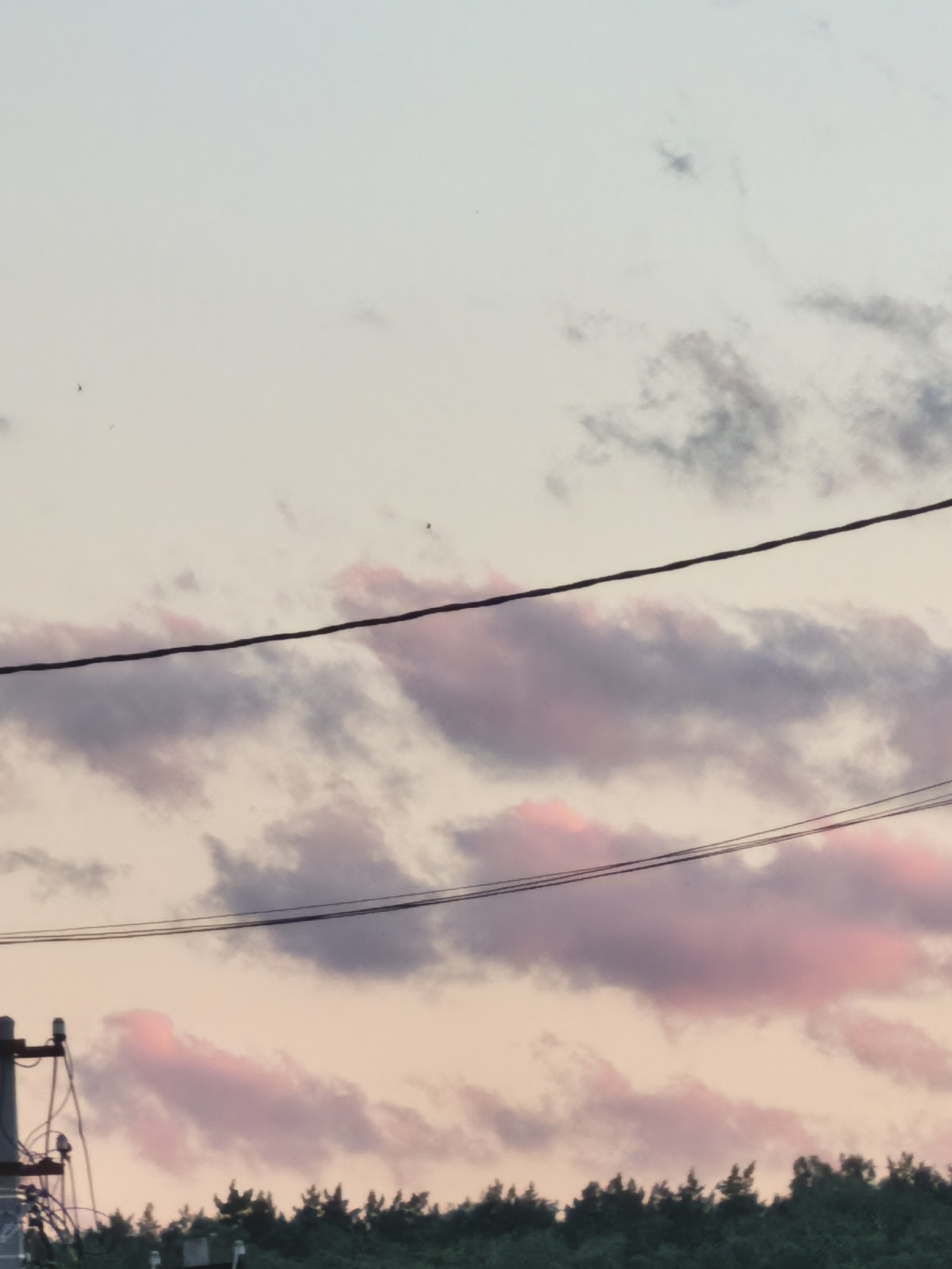 A close-up, medium-shot photograph captures a twilight sky filled with soft, diffused light and wispy clouds tinged with pink and purple. Two black power lines stretch horizontally across the frame, one higher than the other. In the lower left corner, the top of a utility pole is visible, with its electrical components and wires adding a man-made element to the natural scene. Below the sky, a dark, dense line of evergreen trees forms the horizon, suggesting a natural or semi-rural setting on the outskirts of a city. The overall impression is one of a calm, transitional moment between day and night.