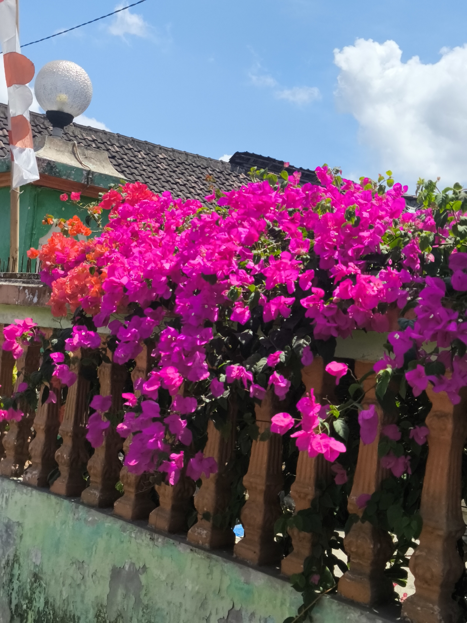 The image depicts a close-up view of vibrant pink and orange bougainvillea flowers cascading over a weathered, wooden fence. The fence has decorative posts and appears to be part of a garden or outdoor seating area. Behind the flowers, a tiled roof and a green-painted wall are visible. A globe-shaped lamp with a textured surface is mounted on a pole to the left, partially obscured by a flag with red and white stripes, suggesting a location in Indonesia. The sky above is bright blue with scattered white clouds. The scene is likely from Kebonsari, Indonesia, given the cultural context suggested by the flag and vegetation. The overall impression is of a sunny day in a tropical setting.