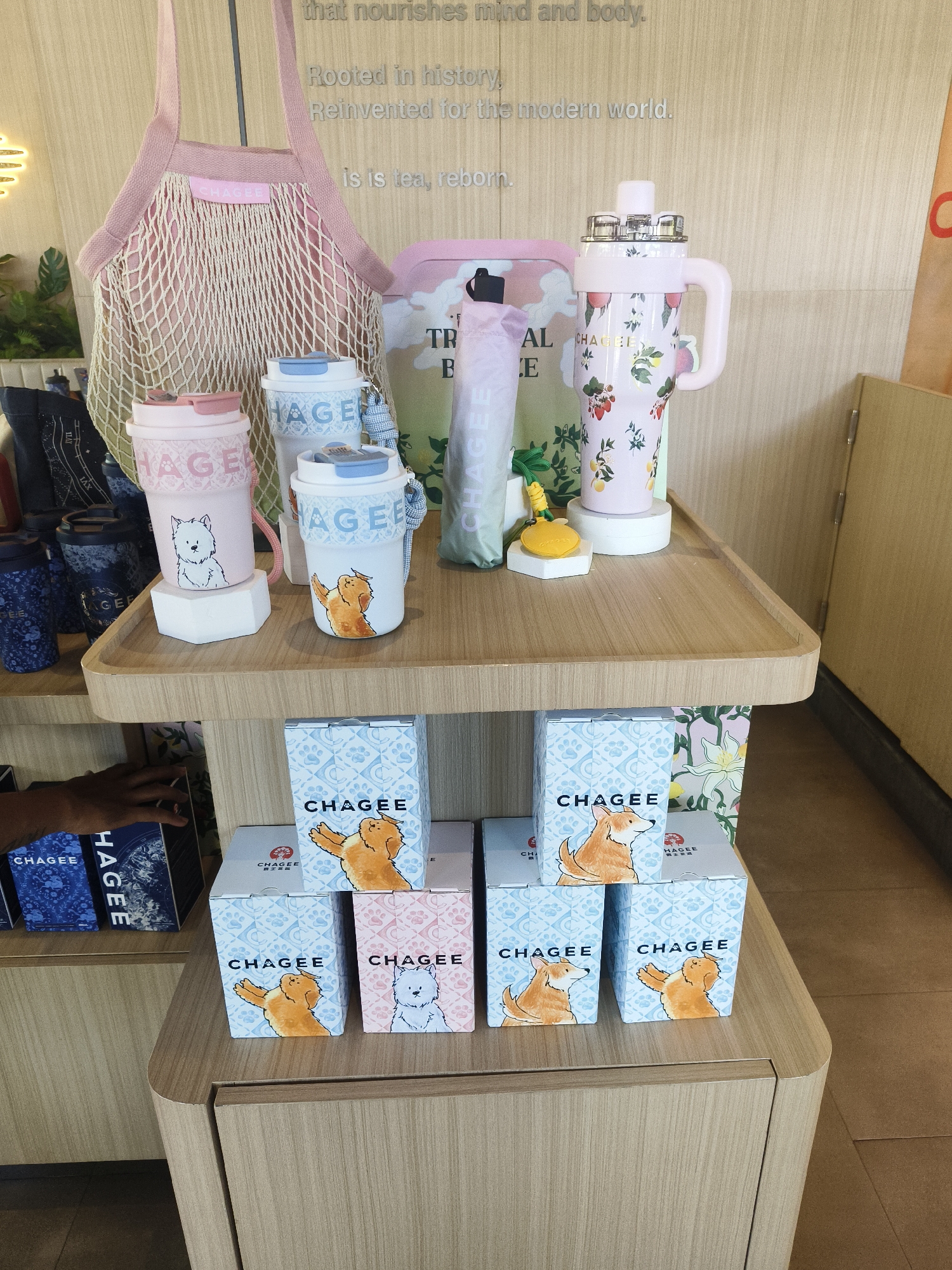 The image depicts a retail display in Kuta Selatan, Indonesia, featuring an assortment of branded merchandise. On the top shelf, a pink mesh tote bag with the "CHAGEE" logo is prominently displayed. To its right are several "CHAGEE" branded travel tumblers in pastel pink and blue, each adorned with illustrations of dogs and floral patterns. A tall pink and white floral patterned water bottle with a handle also sits on this shelf. The lower shelf holds stacked boxes of "CHAGEE" products, also featuring dog illustrations. The display is set against a light-colored wooden wall with subtle text. In the foreground, the edge of a wooden counter is visible, with tiles on the floor beyond. No people are actively engaged with the display, though a hand is partially visible on the left side, suggesting a customer or employee interaction in the broader context of the store. The lighting appears to be even and ambient, consistent with an indoor retail environment.