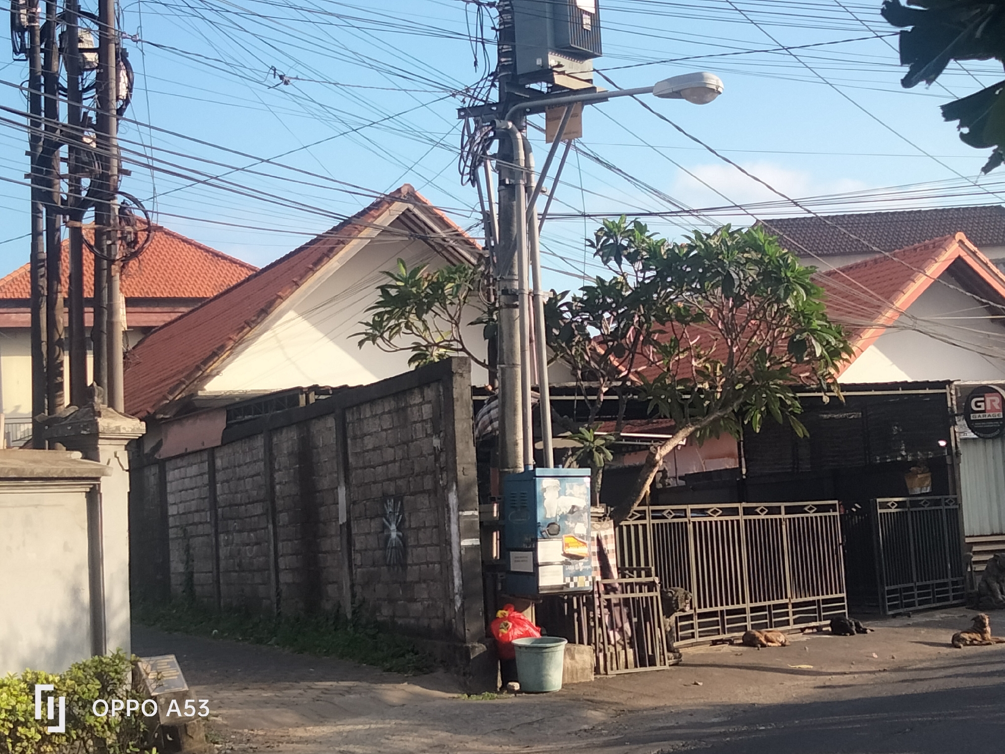 The image depicts a street scene in Denpasar, Indonesia. A utility pole, heavily laden with numerous overhead wires, stands prominently on the right side of the frame. Attached to the pole are electrical boxes and a street lamp. In the background, a row of houses with red-tiled roofs is visible, separated by a brick wall and metal gates. Several dogs are lying down on the paved ground in front of one of the properties. A green trash can and a red plastic bag are situated near the base of the utility pole. The sky above is clear blue.
