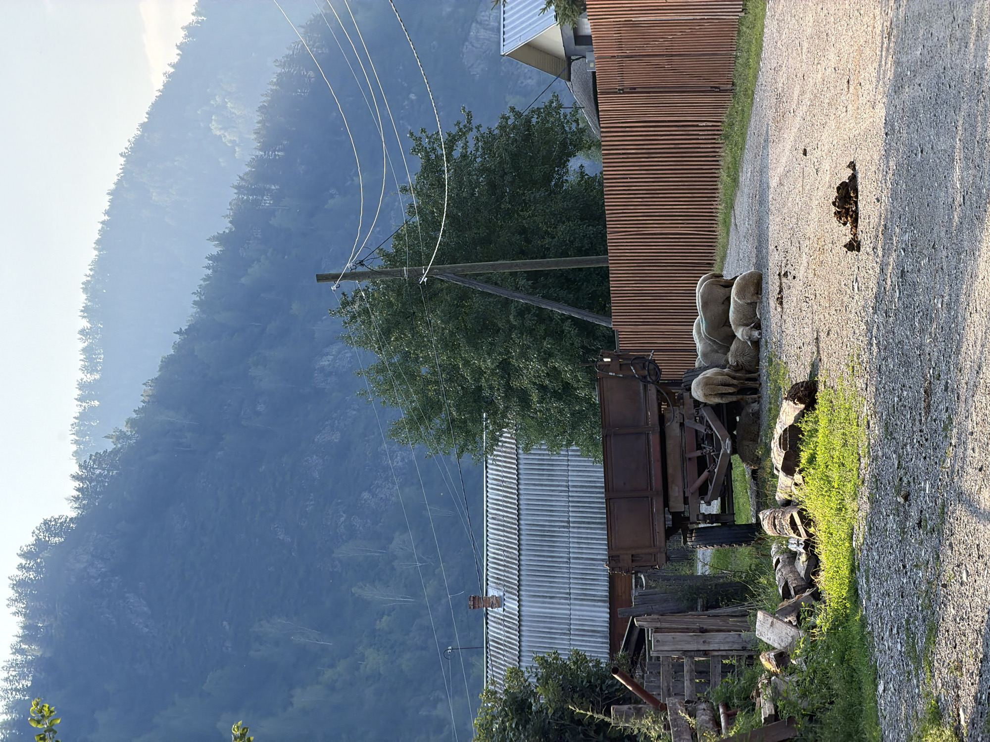 In Anos, Russia, a pastoral scene unfolds on a dirt road leading to a mountainous backdrop shrouded in mist. A flock of sheep rests near an old trailer, their woolly forms contrasting with the dusty road. To the left, a rustic fence and a pile of firewood suggest a rural dwelling. The presence of overhead power lines and a corrugated metal roof on a nearby building indicate a blend of nature and human habitation. The sunlight filters through the mist, casting a soft glow on the landscape.