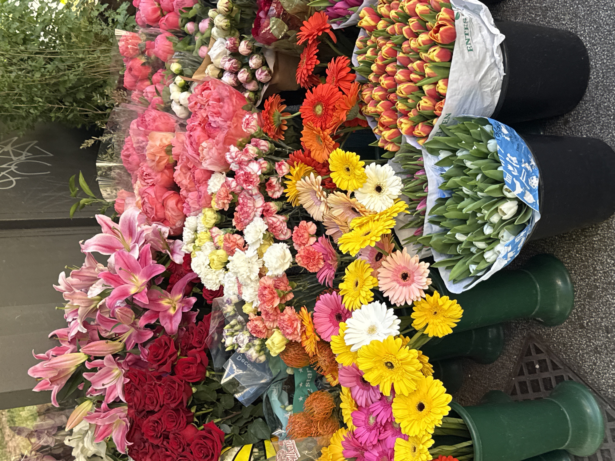 This media file captures a vibrant and extensive flower stall, likely located on a street in Milan, Italy. The scene is dominated by a colorful array of fresh cut flowers, meticulously arranged for display and sale.
The stall features a wide variety of blooms. Large bouquets of pink peonies or garden roses are clustered in the upper left. Bright orange and yellow gerbera daisies form a prominent section in the middle. Tight bunches of red and yellow tulips, along with white tulips, are neatly arranged in black plastic buckets to the right, some wrapped in white paper, one partially revealing the text "ENTES," and another in blue patterned paper. The lower left showcases elegant pink lilies alongside abundant deep red roses. Interspersed throughout are smaller arrangements of pink, white, and yellow carnations, various types of daisies in shades of pink, yellow, and white, and some textured orange decorative elements.
Many bouquets are wrapped in clear plastic sleeves; faint text like "Decorati," "Albani," and "2 star" can be discerned on some of these wrappings. The flowers are held in a mix of black buckets and green plastic vases set on a paved surface. In the background, green foliage and a dark wall with white graffiti are visible. The bright, natural lighting suggests it is daytime. The absence of people focuses attention entirely on the profusion of colorful blossoms, creating an atmosphere of freshness and beauty typical of a bustling flower market.