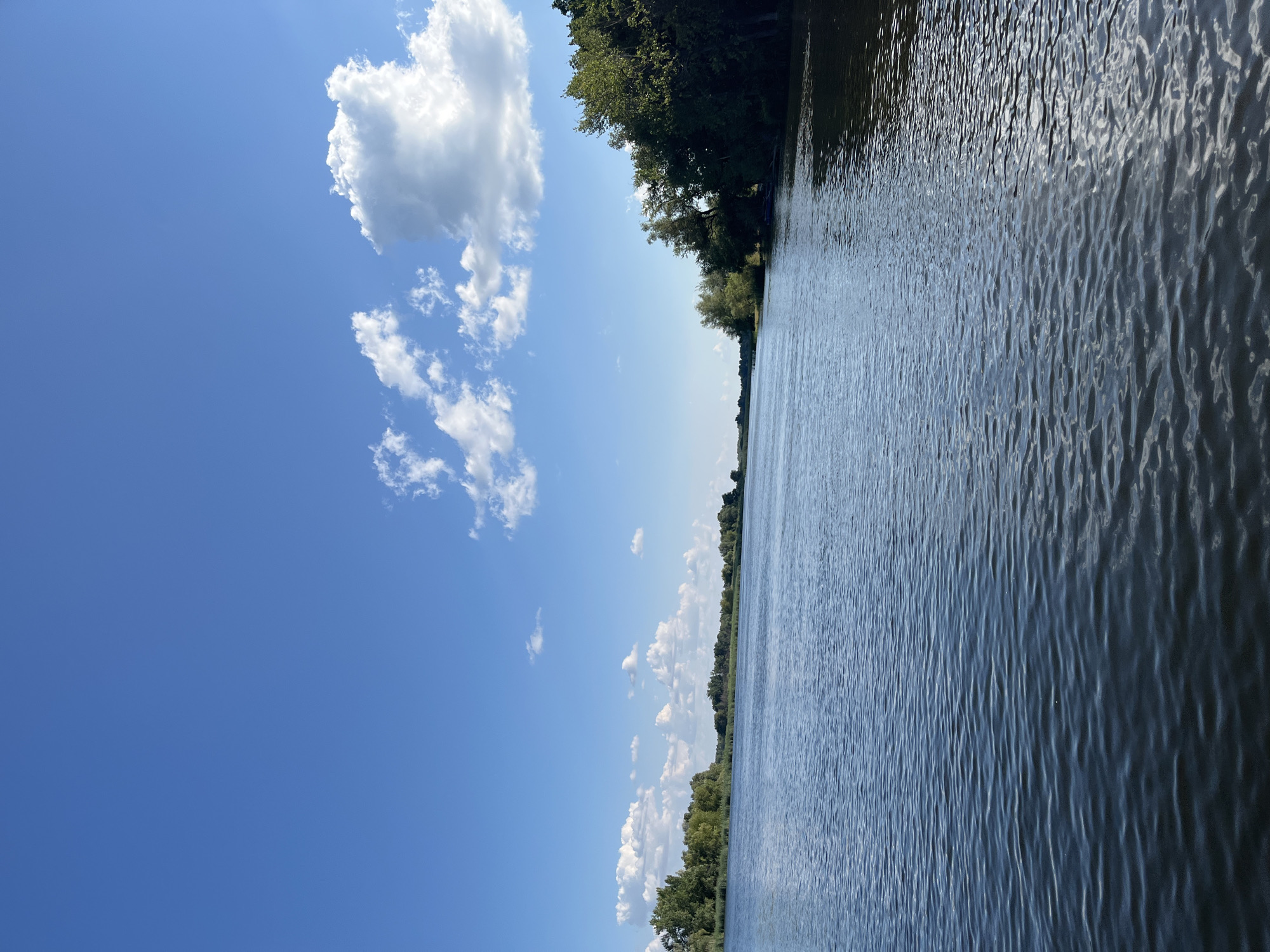 The image depicts a wide, calm river with gentle ripples on its surface. The water is a deep blue, reflecting the clear sky above. On the left bank, a dense line of lush green trees and reeds stretches along the horizon. The right bank is also heavily wooded, with trees reaching down to the water's edge, casting shadows on the river. The sky is a vibrant blue, dotted with fluffy white clouds. The scene appears to be a natural landscape, likely a river or a large lake, given the absence of any man-made structures or prominent features, apart from the subtle suggestion of a distant, natural shoreline on the far bank. The specific location within the city of Saratov, Russia cannot be determined from the visual information provided.