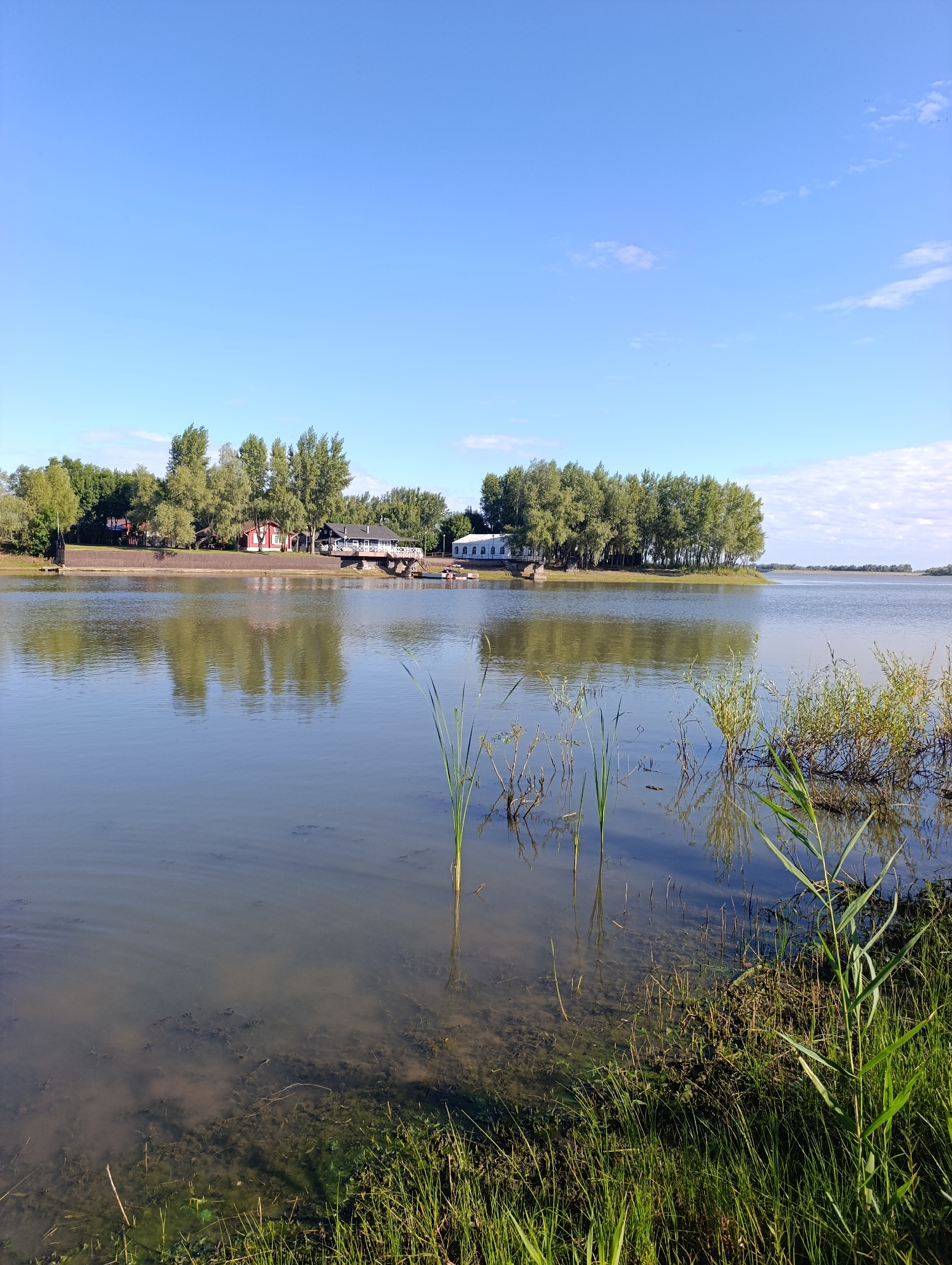 The image depicts a serene waterscape with a clear blue sky and scattered clouds. The foreground features the murky water of a lake or river, with submerged vegetation and reeds visible along the bank. In the midground, a tree-lined shore is dotted with several buildings, including a prominent red structure and a dark-colored building with a white railing. A white building with arched windows is visible further down the shore. The water reflects the trees and buildings, creating a mirror image. The background consists of more trees and a distant shoreline. The scene appears to be set in a park or recreational area, possibly in the city of Dimitrovskii, Russia, given the context. There are no people or animals visible in the image. The overall impression is one of tranquility and natural beauty.