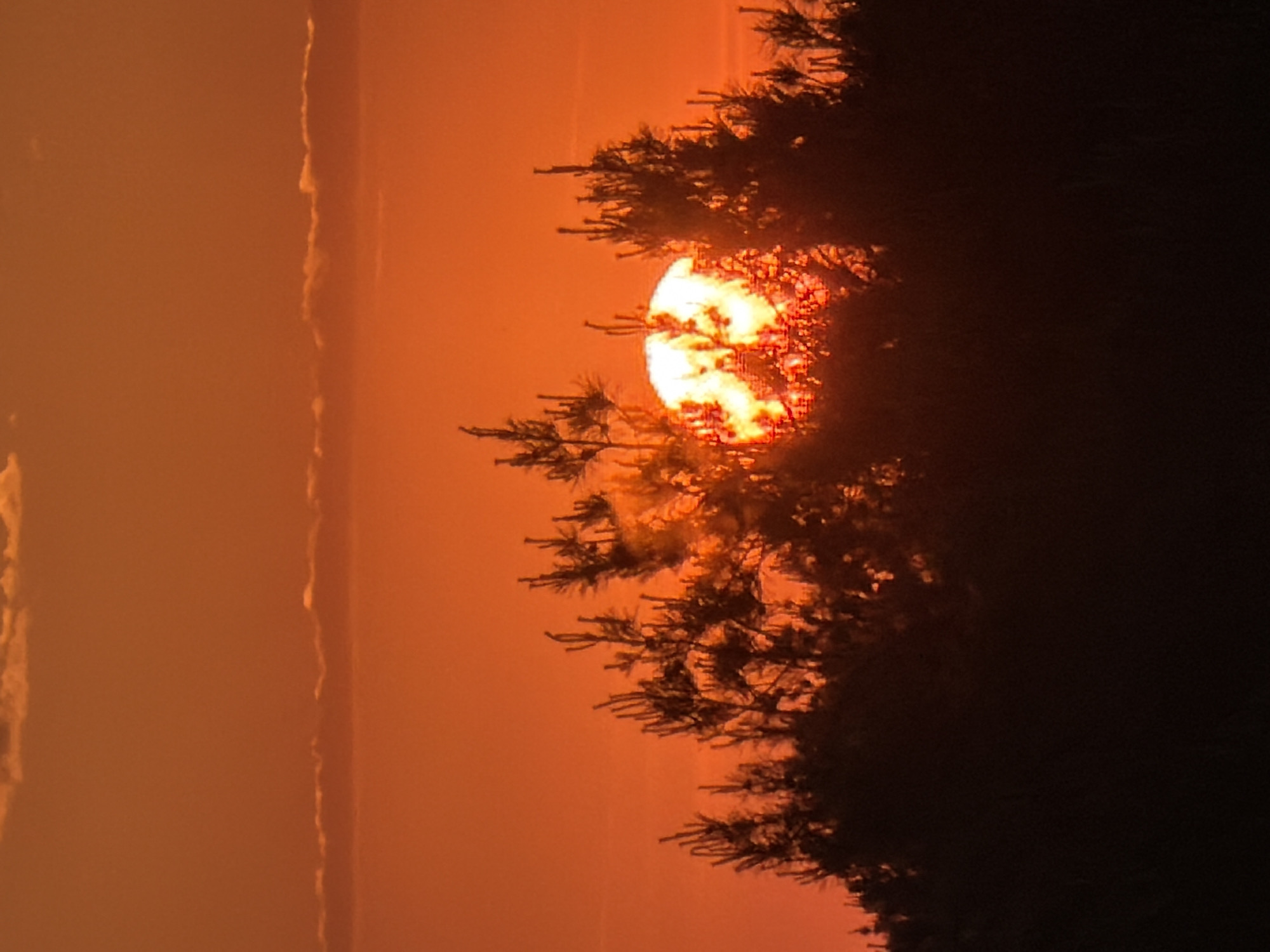 The image depicts a sunset viewed through the silhouette of a pine tree. The sun appears as a bright, orange-red disk partially obscured by the tree's branches. The sky is a gradient of orange and red hues, suggesting either a sunrise or sunset. On the left side of the image, there are vertical bands of color that may indicate the presence of clouds or smoke in the atmosphere. The location is unknown, but specified as Chaikovsky, Russia. No people or specific objects beyond the tree and sky are discernible. The scene is focused on the atmospheric and natural elements present during sunset or sunrise.