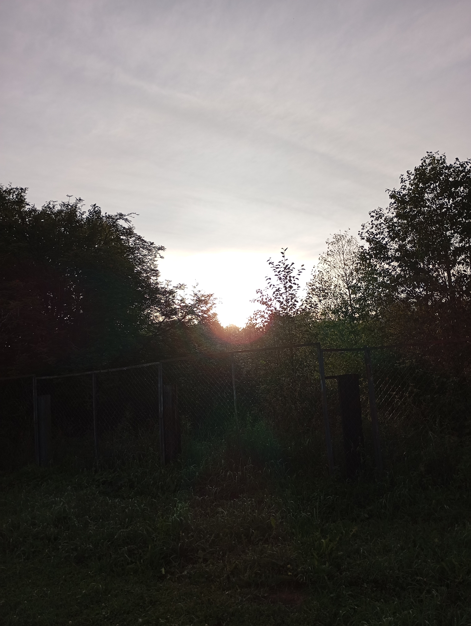 The image depicts an outdoor scene at dusk in Malyi Bukor, Russia. The foreground is dominated by a chain-link fence bordering a grassy area. Beyond the fence, silhouetted trees and vegetation are visible against a pale, overcast sky. The setting sun is casting a bright glow through a gap in the trees, creating lens flare effects. The overall impression is one of a rural or semi-rural environment.