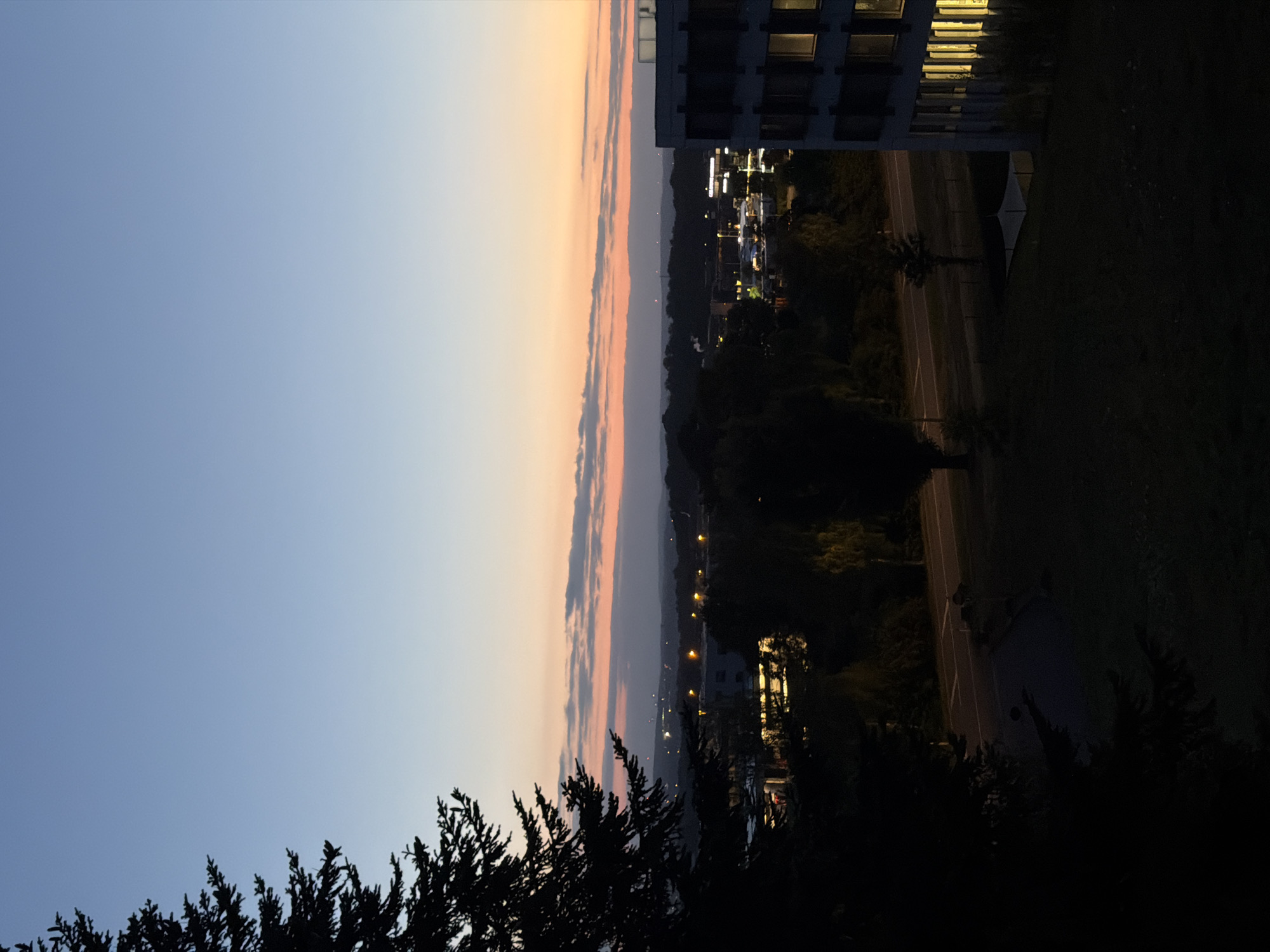A high-angle outdoor twilight shot captures a suburban or semi-urban landscape in Leudelange, Luxembourg. The sky transitions from a deep blue at the top to a pale yellow and orange near the horizon, with thin, scattered clouds tinged pink and orange by the setting sun. A dark, silhouetted coniferous tree dominates the left foreground, its branches extending into the sky.
In the mid-ground, a cluster of buildings with lit windows suggests commercial or residential structures. A road runs horizontally across the scene, with streetlights visible in the distance. A modern, multi-story building with illuminated windows stands on the right side of the image, partially obscuring the view of the landscape behind it. The ground in the foreground appears to be a grassy area. The overall impression is one of a quiet evening in a developed area bordering natural elements.