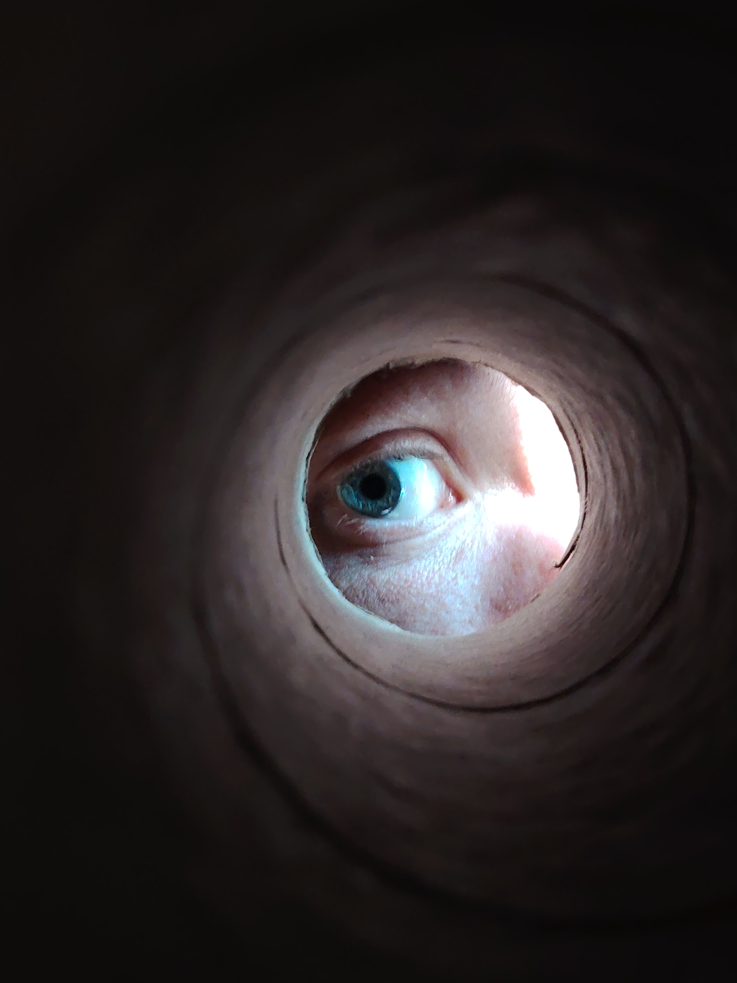 A human eye, specifically the right eye, is prominently featured, peering directly through the bright opening at the end of a dark, cylindrical tube. The eye has a striking blue-green iris with a dark, dilated pupil, reflecting a point of light. The skin around the eye is visible, exhibiting a fair complexion with minor creases and pores, well-lit by an unseen light source originating from beyond the tube's end.
The tube itself creates a circular, tunnel-like frame around the eye. The interior surfaces of the tube are visible, showing a slightly rough texture and varying shades of dark brown and gray, with lighter tones towards the illuminated end where the eye is positioned. The outermost section of the tube, closer to the viewer's perspective, is almost entirely dark, creating a strong contrast with the brighter area around the eye.
The activity depicted is an act of observation or peeking, as the individual looks through the confined space of the tube. The expression of the eye is neutral and focused, suggesting watchfulness or curiosity rather than any specific emotion like joy or fear. There are no notable details regarding time of day, weather, or specific location cues within the image itself, beyond the provided context of Chaikovsky, Russia. No visible text is present in the media file.