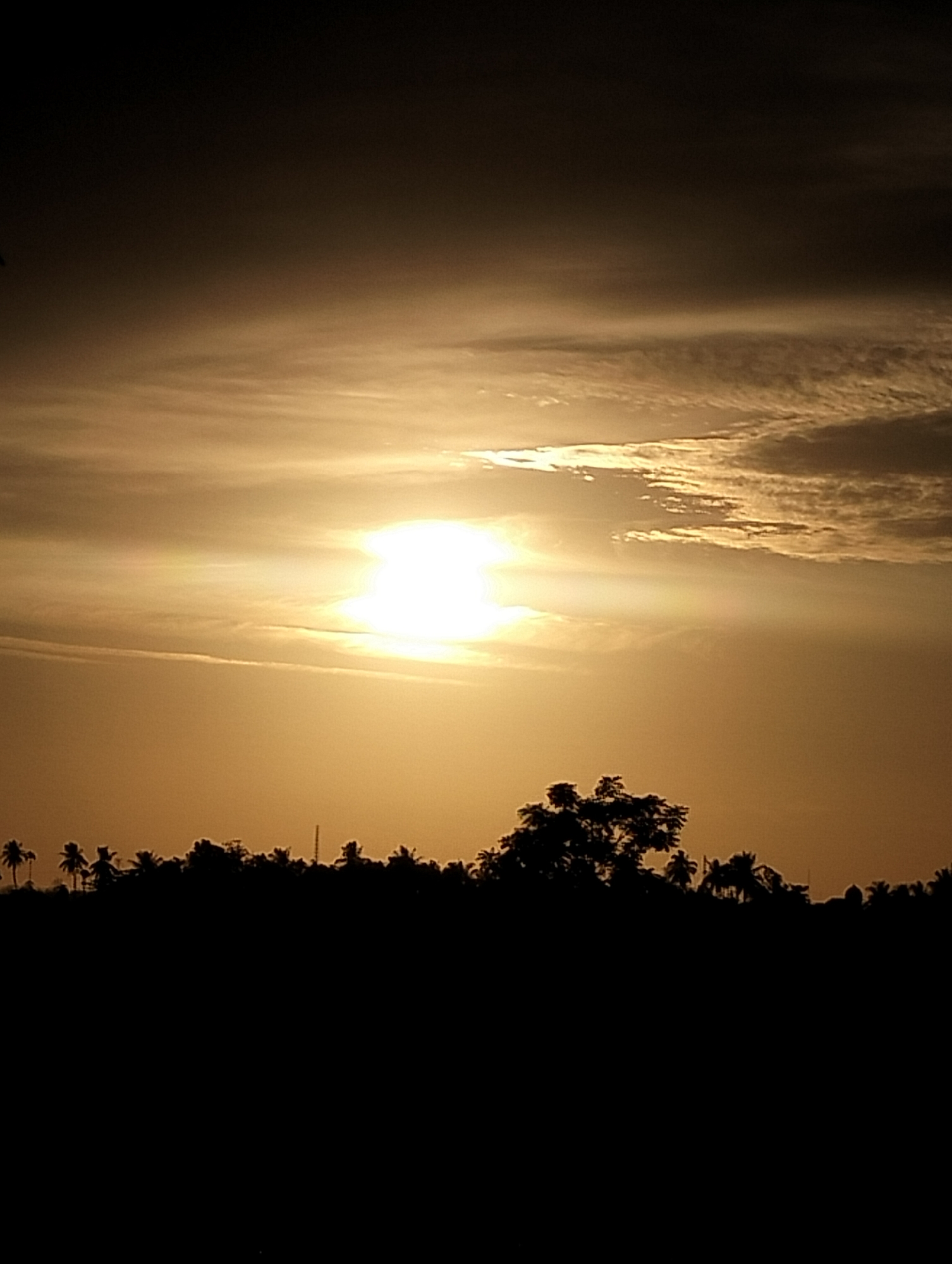 The image depicts a sunset over a silhouette of trees, likely coconut palms, in Kulam, Indonesia. The sun is bright and low on the horizon, with rays shining through a layer of clouds. The sky is predominantly yellow and orange, darkening towards the top. The trees in the foreground are entirely black, obscuring any details.