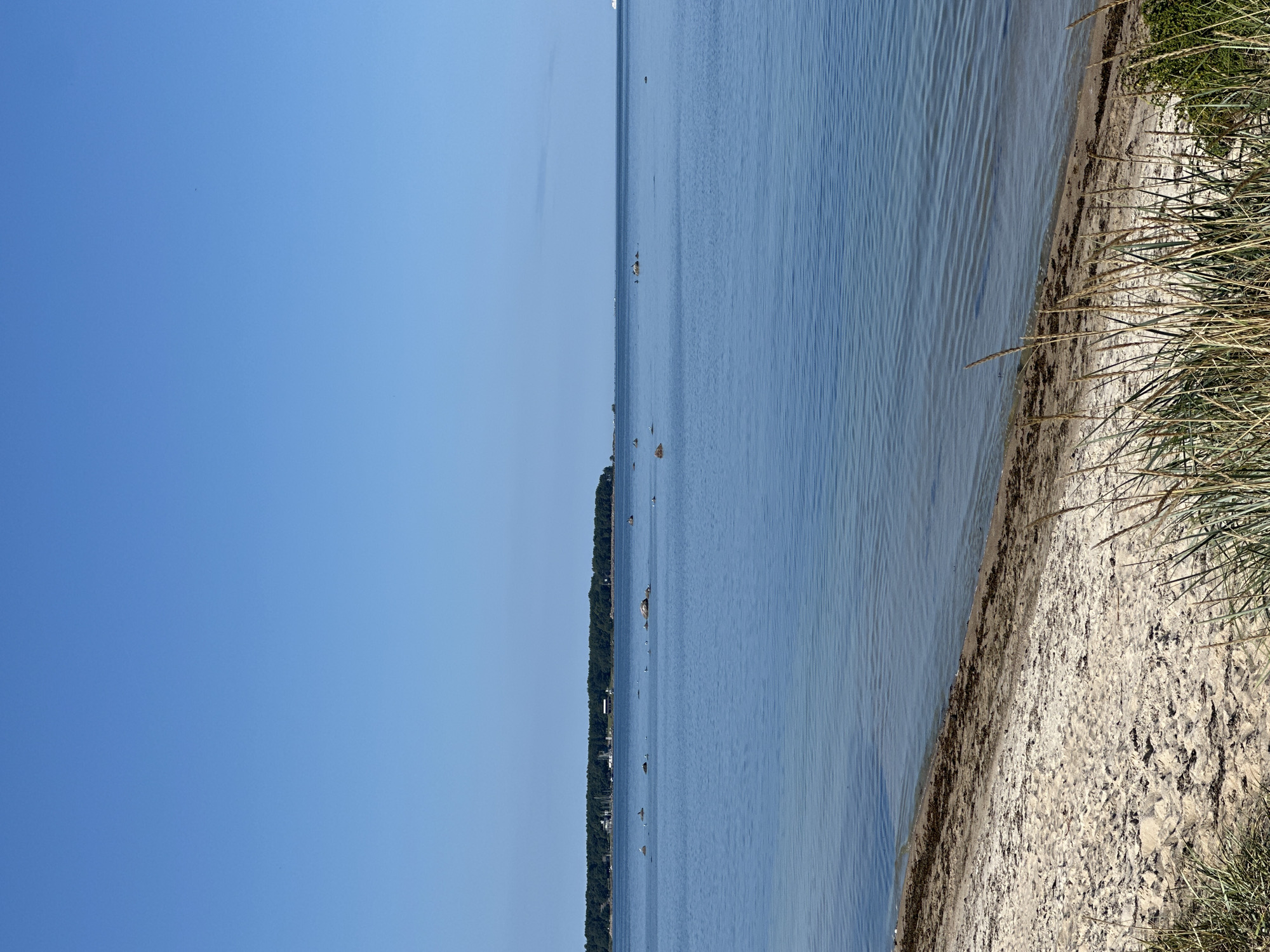 The image depicts a serene coastal landscape in Meremõisa, Estonia. The foreground features a sandy beach with scattered clumps of dry grass and some seaweed. The gentle waves of the Baltic Sea lap the shore, creating subtle ripples on the water's surface. In the middle ground, several large rocks are visible in the sea, some with birds perched on them. In the distance, a tree-lined coast stretches across the horizon, with a few buildings and sailboats docked near the shore. The sky is clear and a vibrant shade of blue, with a faint ship visible on the far right horizon. The overall scene is one of tranquility and natural beauty.