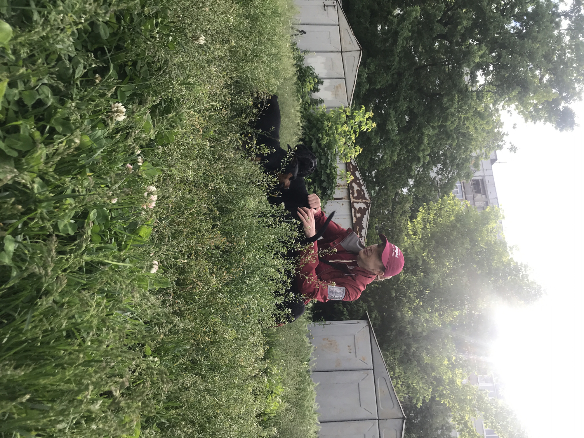 A person in a red jacket and hat is crouching in a field of tall grass and clover, holding a black dog. The setting appears to be an overgrown area adjacent to metal structures, possibly storage containers or sheds. In the background, trees and a building are visible under bright sunlight. Kharkiv, Ukraine is not directly identifiable from the image.