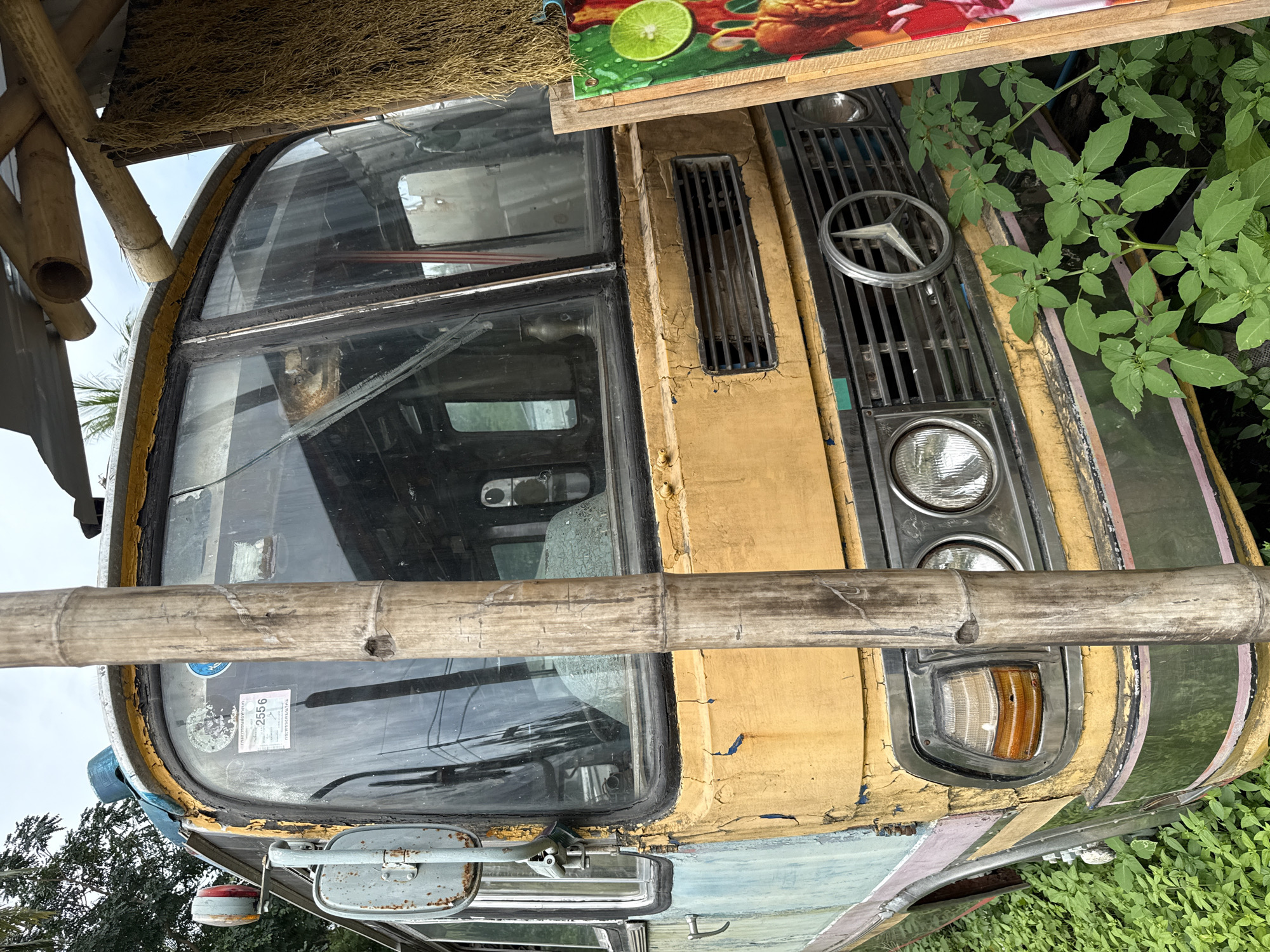 The image depicts the front of an old, yellow, and green bus with a Mercedes-Benz emblem on the grill. The bus is integrated into a structure made of bamboo. The paint on the bus is peeling and weathered. The windshield has stickers on it. The location is ตำบลเกาะพะงัน, Thailand, judging by the sticker on the windshield. There is greenery surrounding the bus. A sign with a lime and some food is visible on top of the bus. A broom is also visible on top of the bus.